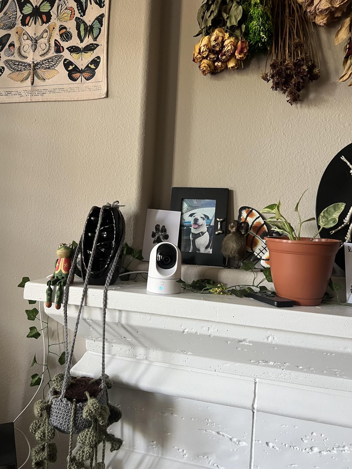 eufy Security Indoor Cam E220, Camera for home Security, Pan & Tilt, Dog/Pet Camera, 2K Wi-Fi Plug-in, Motion Tracking, Motion Only Alerts, Night Vision, HomeBase 3 Compatible, Voice Assistant Support Customer Review eufy Security Indoor Cam E220, Camera for home Security, Pan & Tilt, Dog/Pet Camera, 2K Wi-Fi Plug-in, Motion Tracking, Motion Only Alerts, Night Vision, HomeBase 3 Compatible, Voice Assistant Support - Customer Photo 5