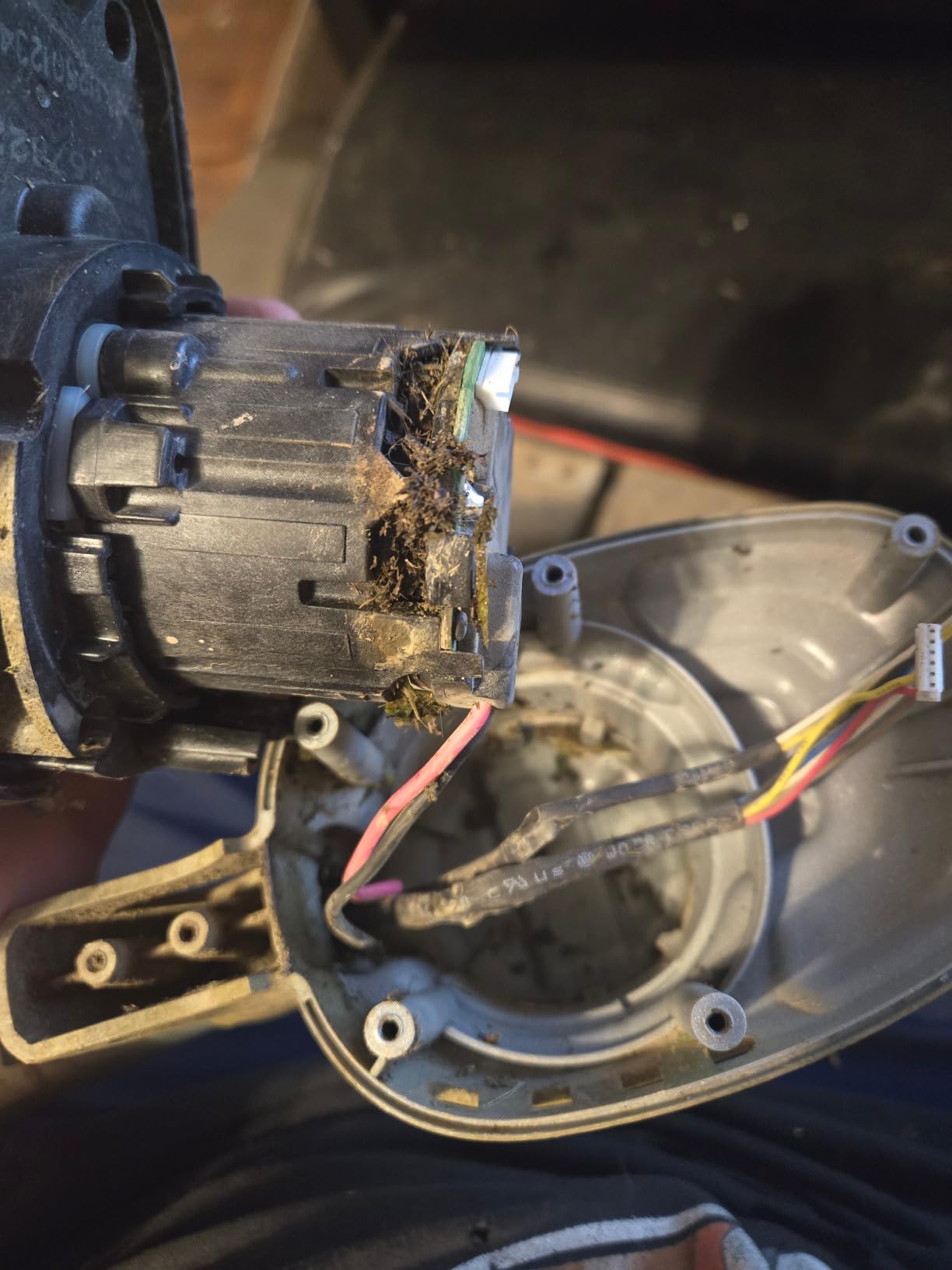 DEWALT 20V MAX* XR String Trimmer, 14-Inch, Tool Only (DCST922B) - Customer Photo 2