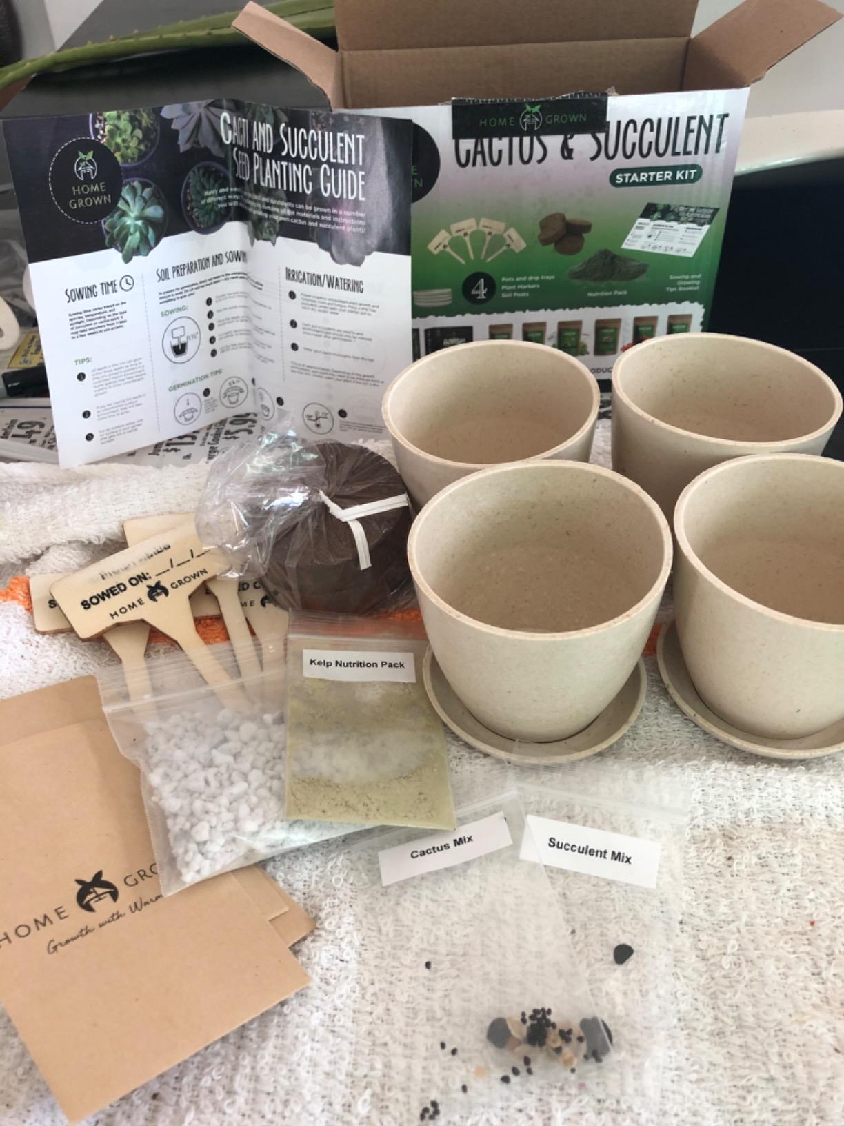 Bonsai Tree Kit Gifts for Men & Women - Grow 4 Bonsai Trees - Unique Gardening Crafts for Adults, DIY Hobbies for Plant Lovers & Gardeners - Unusual Christmas Gift Ideas for Mom & Dad - Customer Photo 3