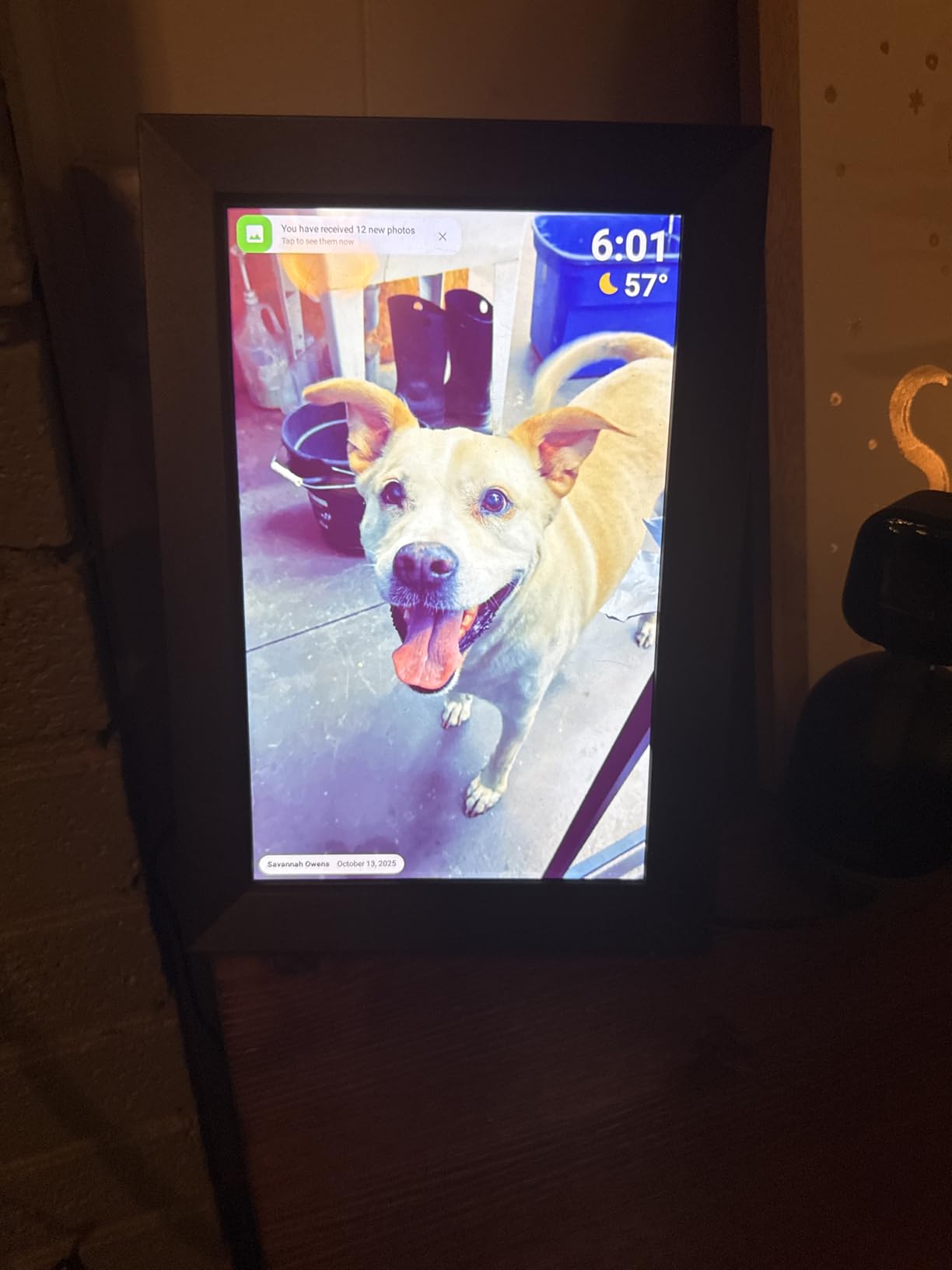 BIGASUO Digital Picture Frame, 10.1