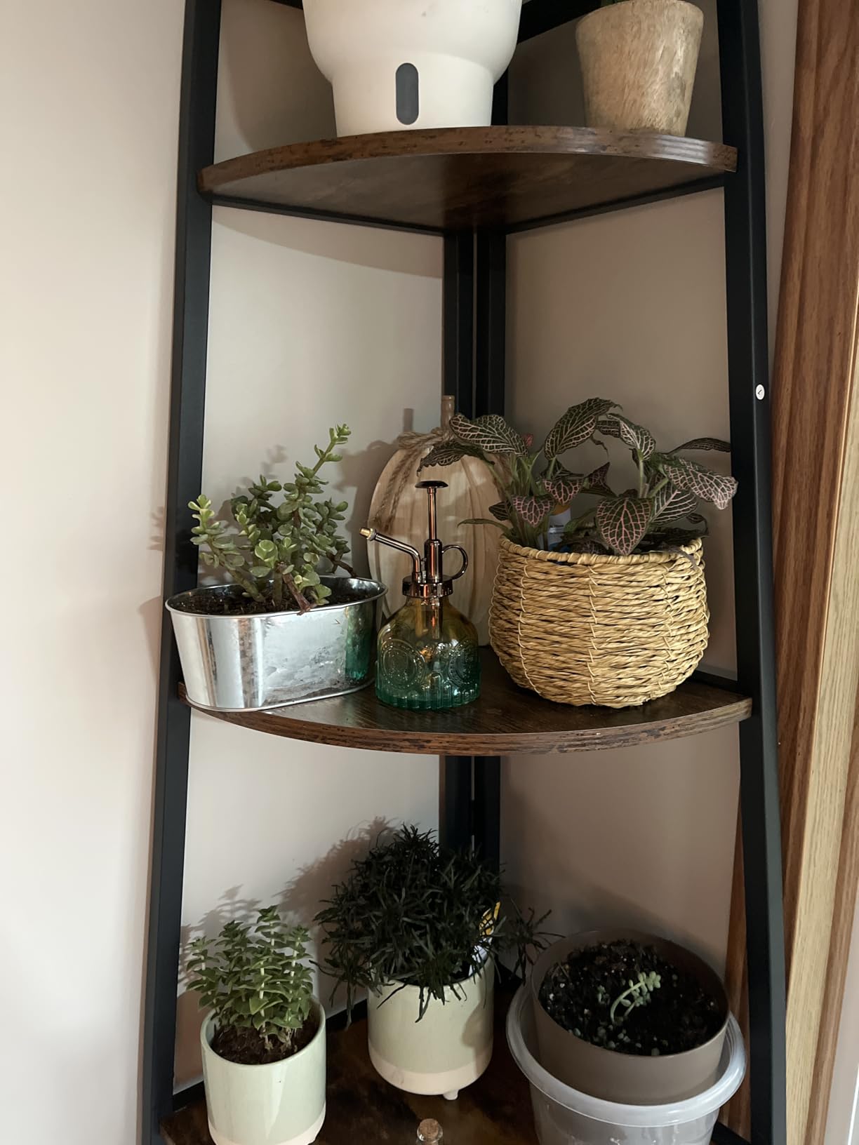 Glass Plant Mister Spray Bottle, Vintage Plant Spritzer, Succulent Watering Bottle with Top Pump, Small Plant Sprayer Mister Watering Can for Indoor Outdoor Houseplant - Green Brown Gradient - Customer Photo 1