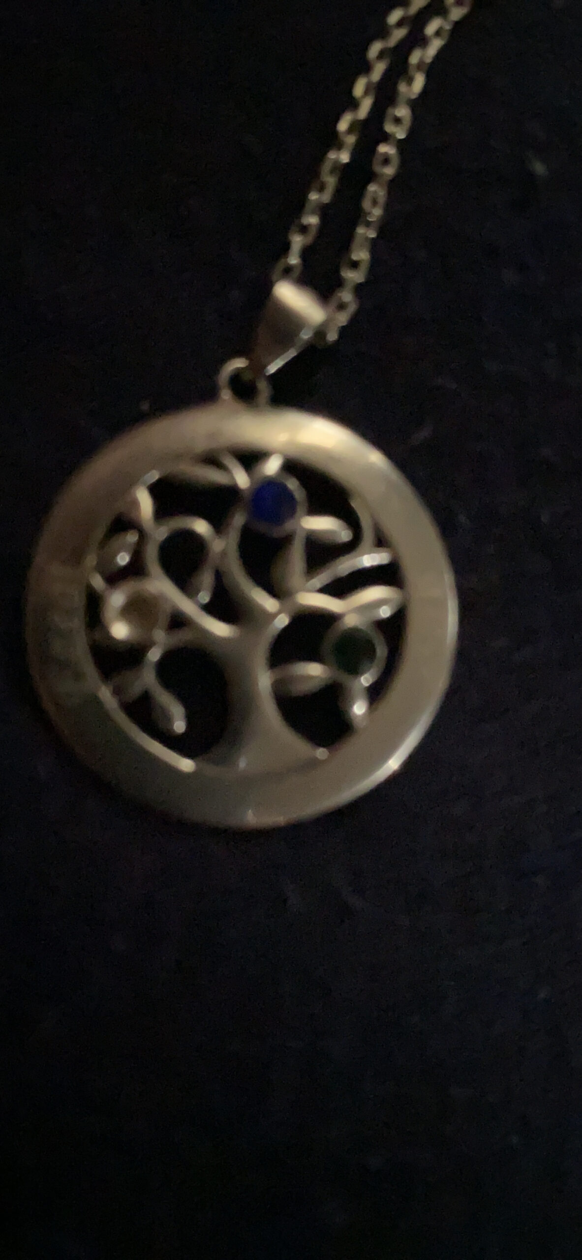 U7 Heart/Round Tree of Life Necklace, Customized Birthstone Jewelry for Women Men,Custom Name Family Branch Tree Pendant Personalized Mother Necklaces with 2-7 Names and Birthstones - Customer Photo 5