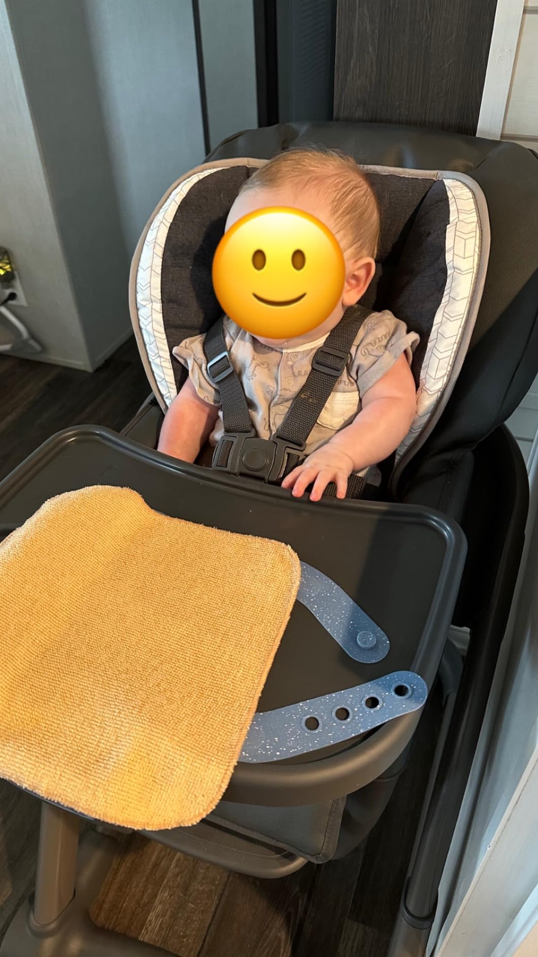 Graco Blossom 6 in 1 Convertible High Chair, Redmond - Customer Photo 4