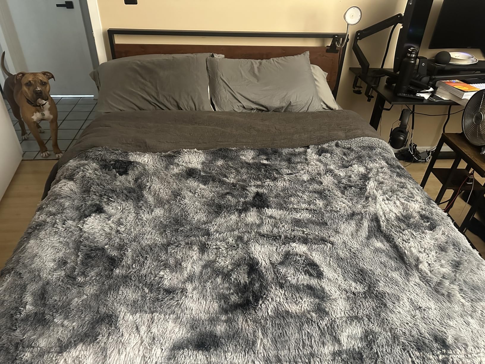 Bedsure GentleSoft Fluffy Black Throw Blanket Gifts for Men, Black Decor Soft Cozy Fuzzy Plush Minky Thick Warm Sherpa Fleece Faux Fur Throws for Couch Bed, Furry Blanket Gifts for Mom Dad, 50x60 - Customer Photo 1