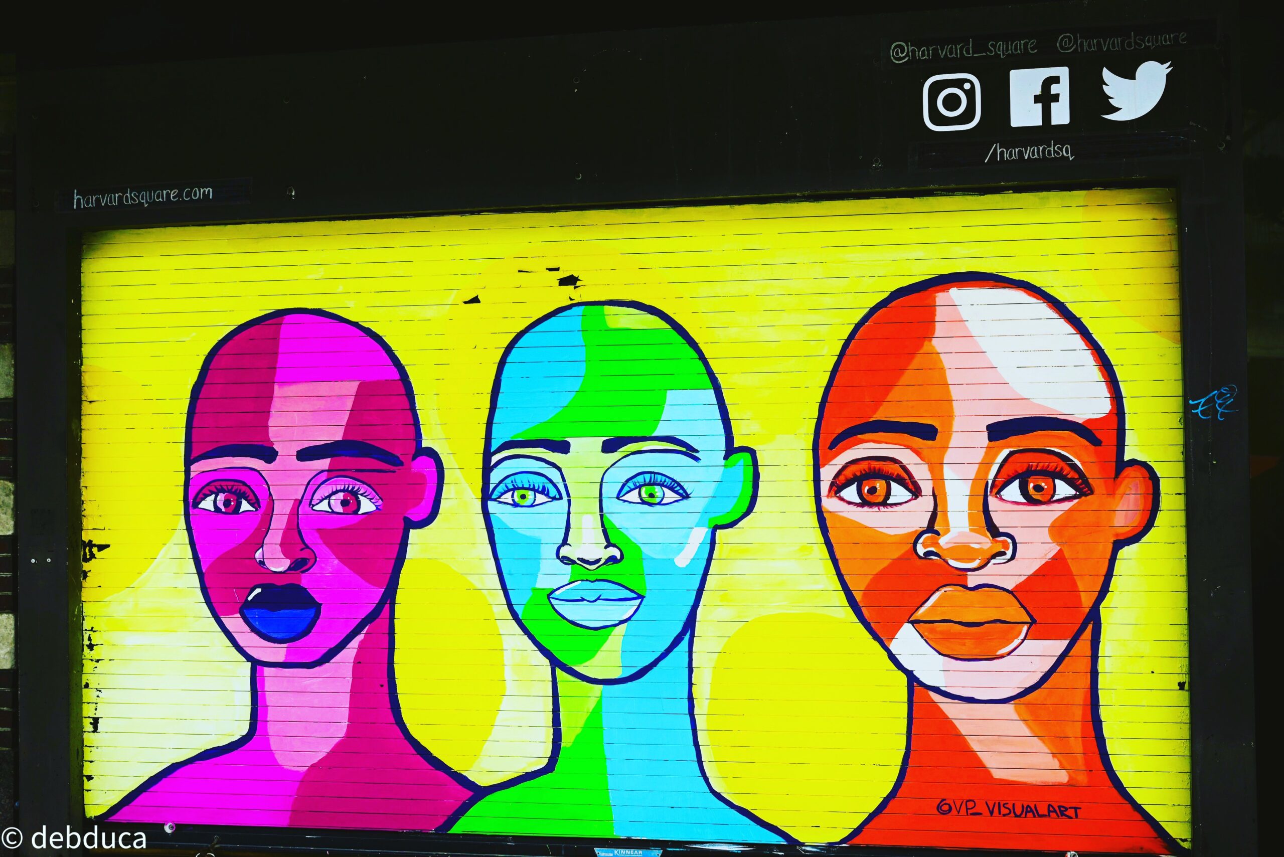 Nikon Z5 Mirrorless Camera Full Frame Body FX-Format 4K UHD Bundle with Deco Gear Photography Backpack + Photo Video LED Lighting + Lexar 64GB High Speed SD Card + Software Kit and Accessories - Customer Photo 1