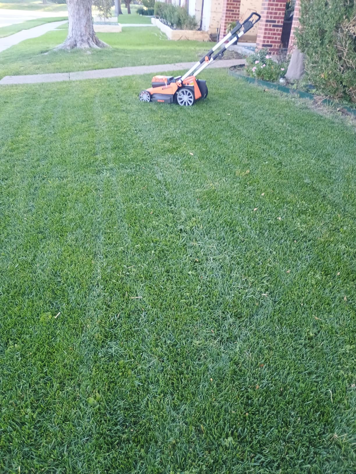 LawnMaster MEB1216K Electric Lawn Mower 16-Inch 12AMP Customer Review LawnMaster MEB1216K Electric Lawn Mower 16-Inch 12AMP - Customer Photo 2