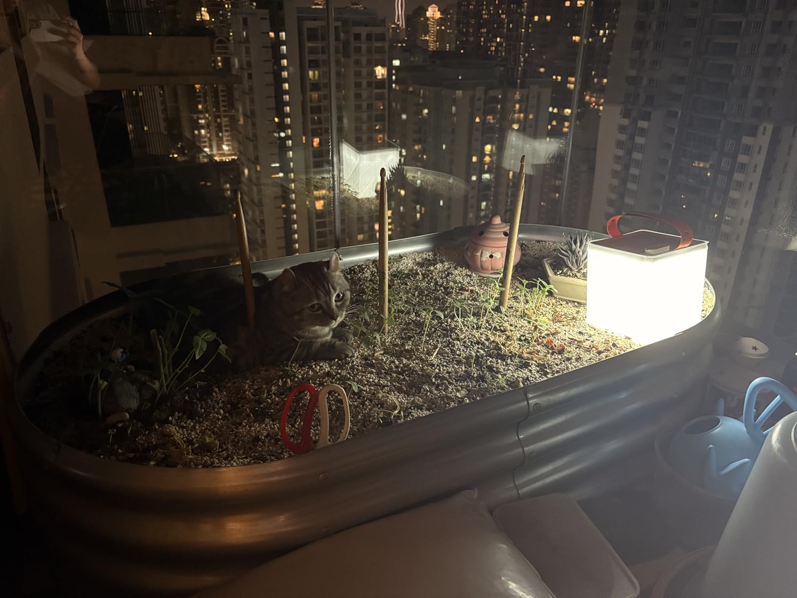 LuminAID 2-in-1 Solar Camping Lantern and Phone Charger - Inflatable LED Lamp for Camping, Hiking and Travel - Emergency Light for Power Outages, Hurricane, Survival Kits - As Seen on Shark Tank Customer Review LuminAID 2-in-1 Solar Camping Lantern and Phone Charger - Inflatable LED Lamp for Camping, Hiking and Travel - Emergency Light for Power Outages, Hurricane, Survival Kits - As Seen on Shark Tank - Customer Photo 2