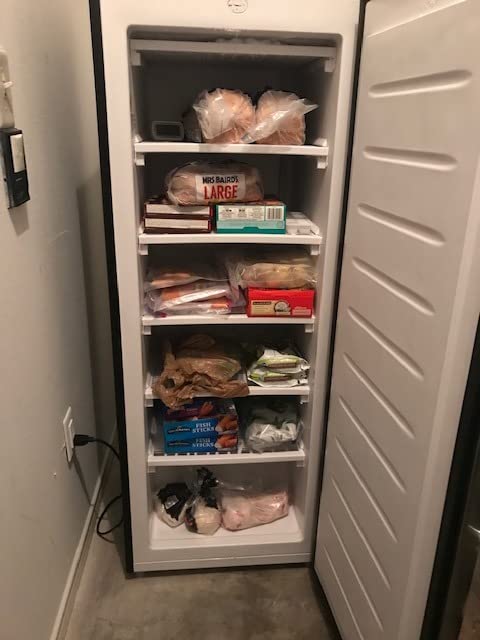 Frigidaire EFRF114-6COM Upright Freezer 1.1 cu ft Stainless Platinum Design Series, Silver - Customer Photo 1