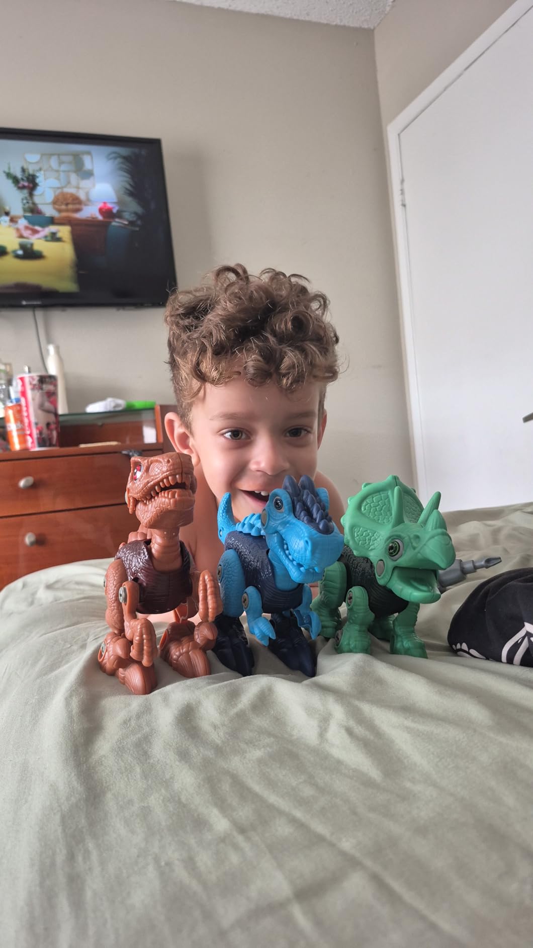 Laradola Dinosaur Toys for 3 4 5 6 7 8 Year Old Boys, Take Apart Dinosaur Toys for Kids 3-5 5-7 STEM Construction Building Kids Toy with Electric Drill, Party Christmas Birthday Gifts Boys Girls - Customer Photo 1