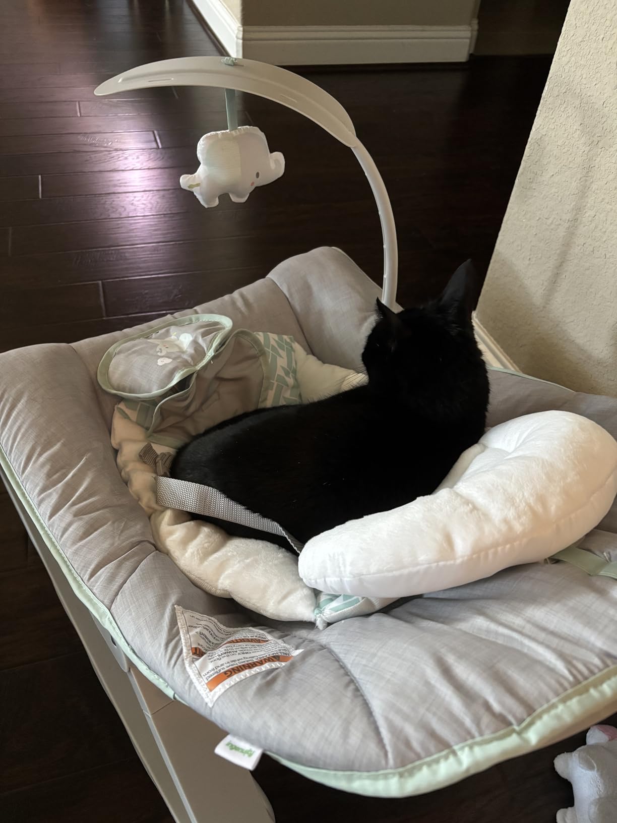 Ingenuity Keep Cozy 3-in-1 Grow with Me Vibrating Baby Bouncer, Seat & Infant to Toddler Rocker, Vibrations & Toy Bar, 0-30 Months Up to 40 lbs (Weaver) - Customer Photo 1