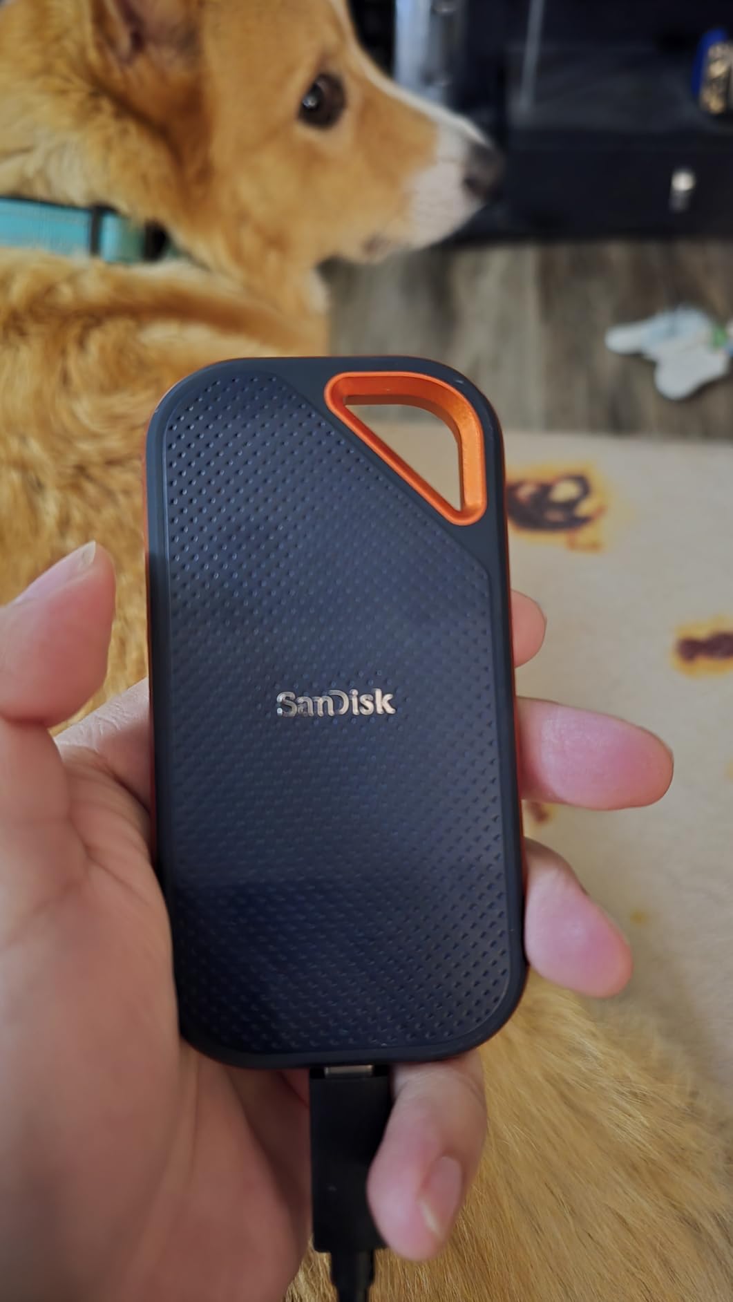 SanDisk 4TB Extreme PRO Portable SSD - Up to 2000MB/s - USB-C, USB 3.2 Gen 2x2, IP65 Water and Dust Resistance, Updated Firmware - External Solid State Drive - SDSSDE81-4T00-G25 Customer Review SanDisk 4TB Extreme PRO Portable SSD - Up to 2000MB/s - USB-C, USB 3.2 Gen 2x2, IP65 Water and Dust Resistance, Updated Firmware - External Solid State Drive - SDSSDE81-4T00-G25 - Customer Photo 2