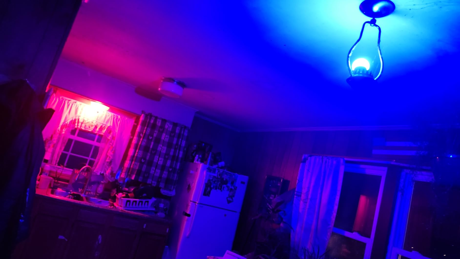 Kasa Smart Light Bulbs, Full Color Changing Dimmable Smart WiFi Bulbs Compatible with Alexa and Google Home, A19, 60 W 800 Lumens,2.4Ghz only, No Hub Required, 2-Pack (KL125P2), Multicolor Customer Review Kasa Smart Light Bulbs, Full Color Changing Dimmable Smart WiFi Bulbs Compatible with Alexa and Google Home, A19, 60 W 800 Lumens,2.4Ghz only, No Hub Required, 2-Pack (KL125P2), Multicolor - Customer Photo 1