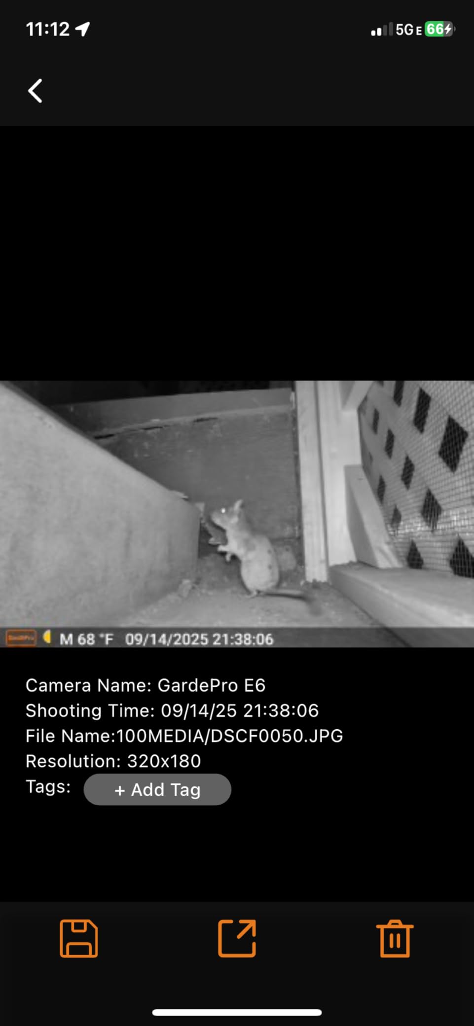 GardePro E6 Trail Camera WiFi 48MP 1296P Game Camera with No Glow Night Vision Motion Activated Waterproof for Wildlife Deer Scouting Hunting or Property Security, Camo - Customer Photo 3