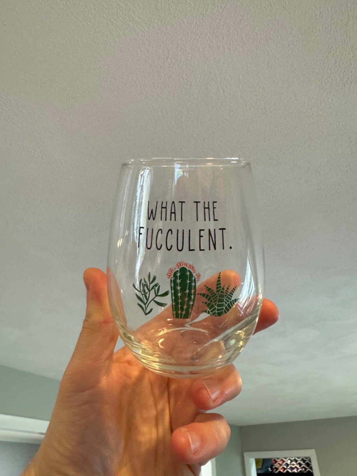 Succulent Cactus Gifts for Women - Set of 2 Funny Wine Glasses 15oz - Plant Lover Gift Mug - What the Fucculent - Pot Head Crazy - Plant Lady Wine Glass Tumbler - Custom Stemless Wine Glasses - Customer Photo 3