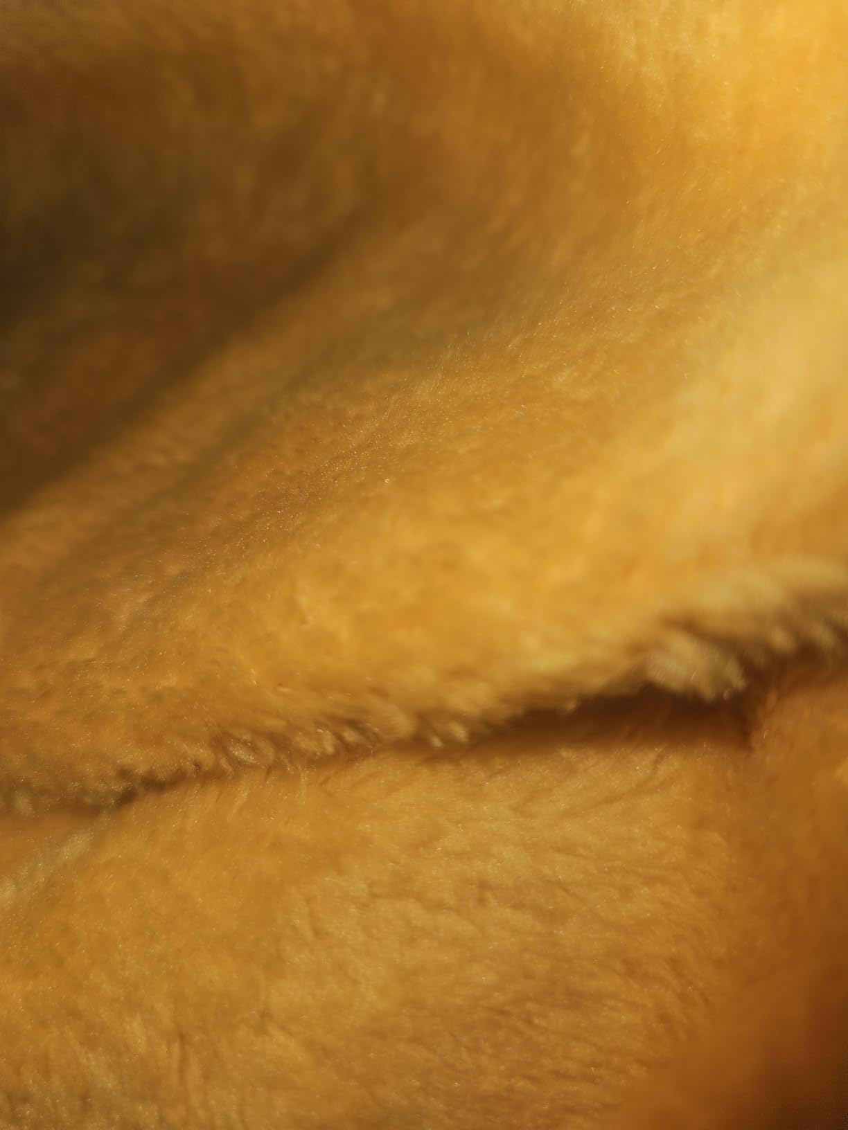 Utopia Bedding Fleece Blanket Queen Size Black 300GSM Luxury Anti-Static Fuzzy Soft Microfiber Bed Blanket (90x90 Inch) - Customer Photo 2