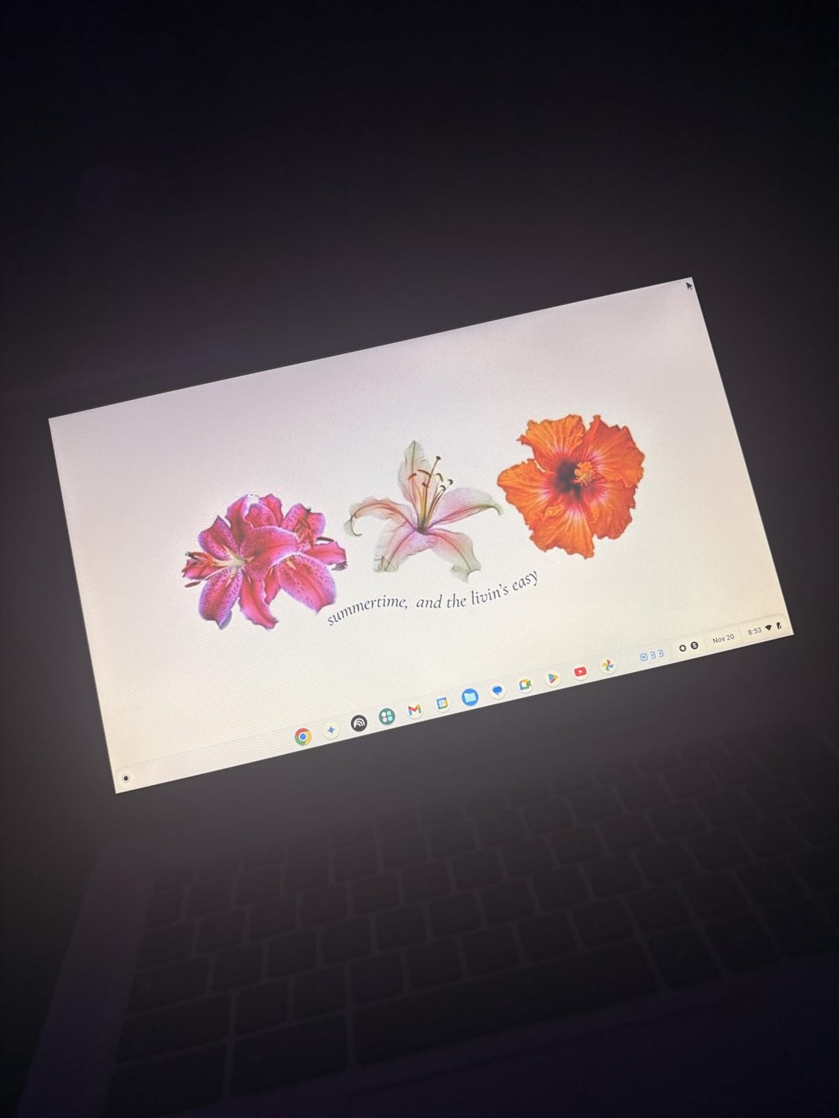 HP Chromebook 14 Laptop, Intel Celeron N4000 Processor, 4 GB RAM, 32 GB eMMC, 14