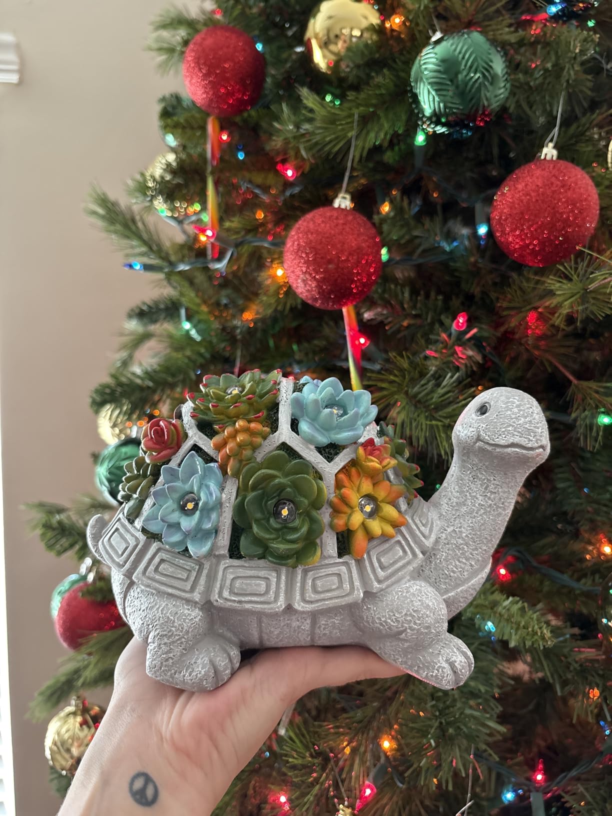 Nacome Solar Garden Outdoor Statues Turtle with Succulent and 7 LED Lights - Lawn Decor Tortoise Statue for Patio, Balcony, Yard Ornament - Chrismtas Gifts for Mom Grandma - Customer Photo 4