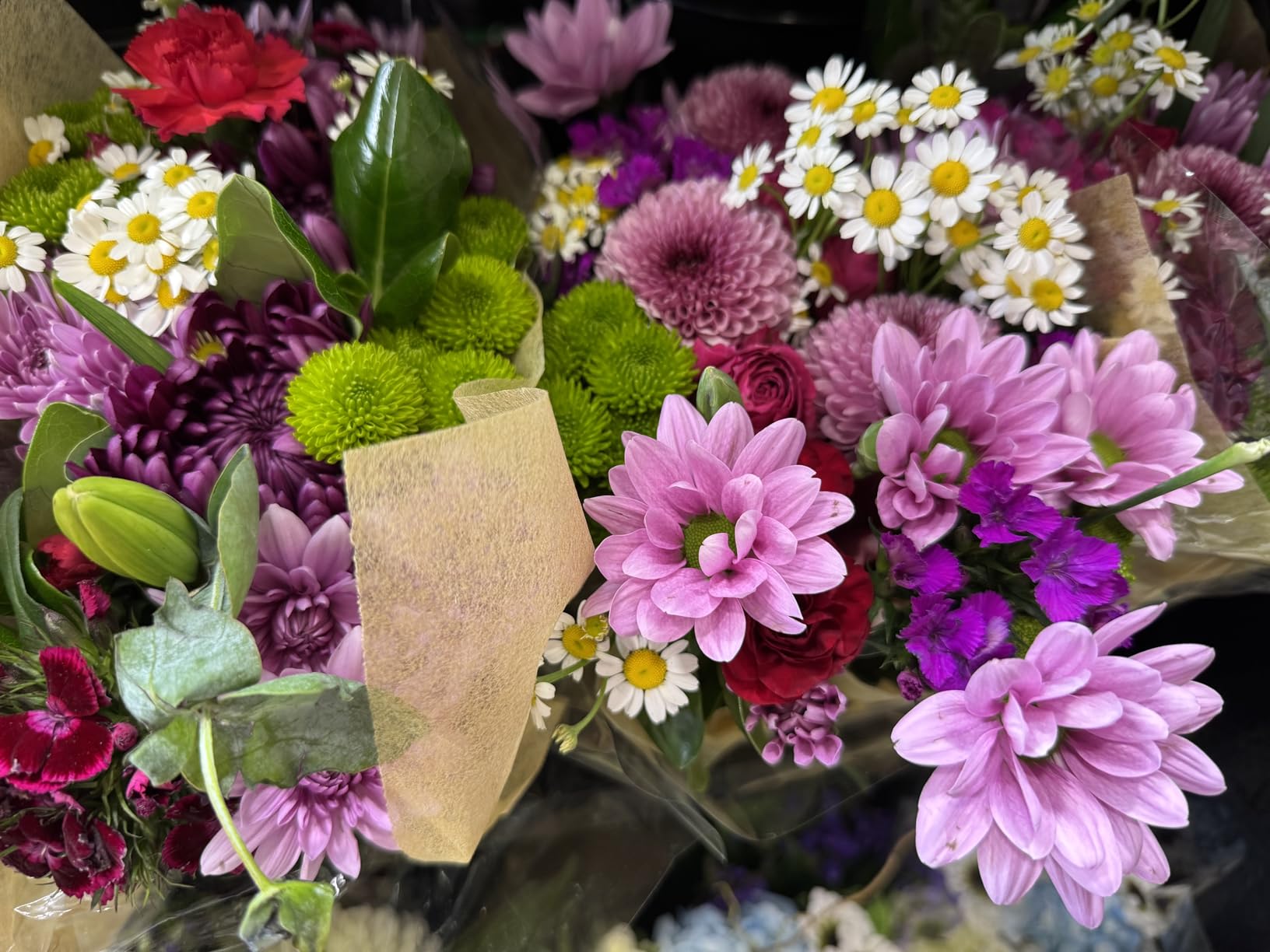 Laminator Machine with 40 Laminating Sheets, A4 Laminator Thermal and Cold with Paper Trimmer & Corner Rounder, 9-Inch Laminating Machine for Home School Office - Customer Photo 1