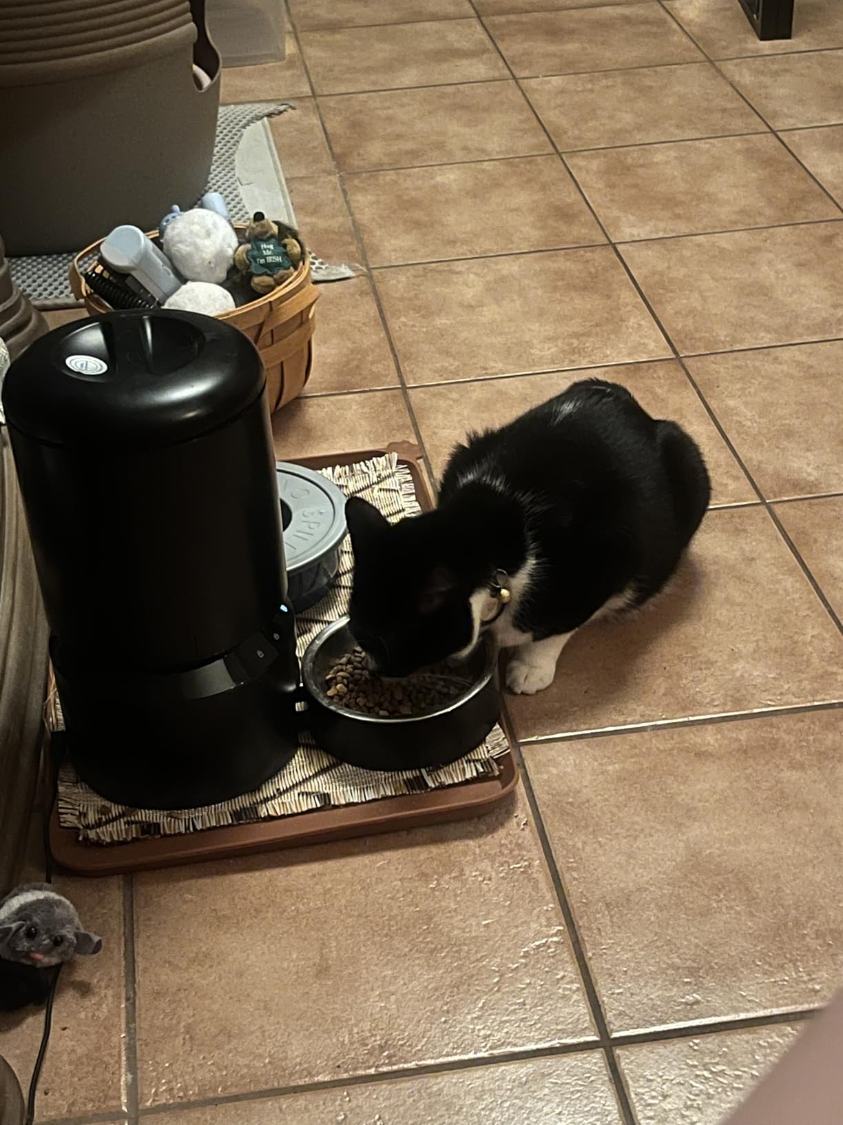 PETLIBRO Automatic Cat Feeder – 3L Programmable Pet Food Dispenser with Airtight Storage, Timed Portion Control, Voice Meal Call & Dual Power Supply, Clog-Free Healthy Feeding for Cats & Small Dogs - Customer Photo 1