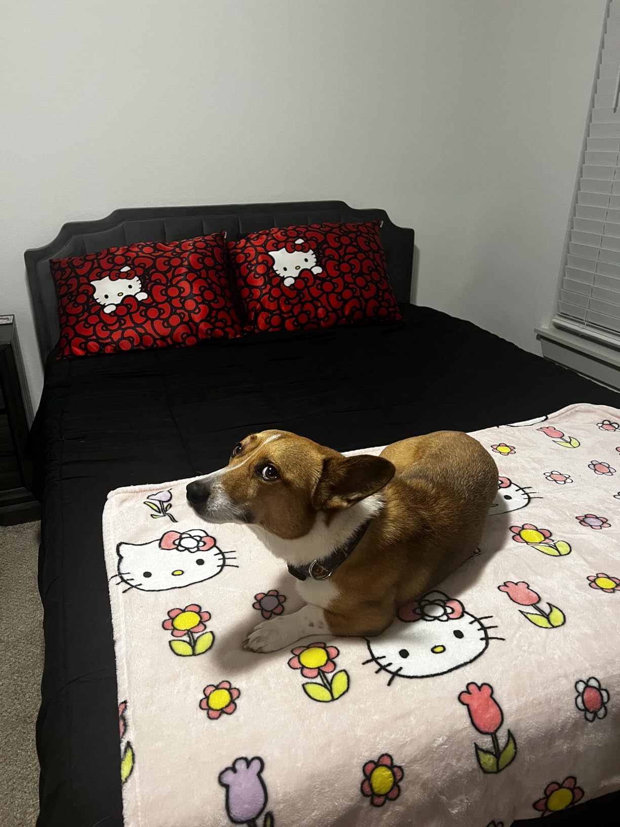 DOWNCOOL Queen Comforter Set -All Season Queen Bed Set with 2 Pillow Cases-3 Pieces Bedding Sets Queen -Down Alternative Black Queen Size Comforter Sets(88 DOWNCOOL Queen Comforter Set -All Season Queen Bed Set with 2 Pillow Cases-3 Pieces Bedding Sets Queen -Down Alternative Black Queen Size Comforter Sets(88