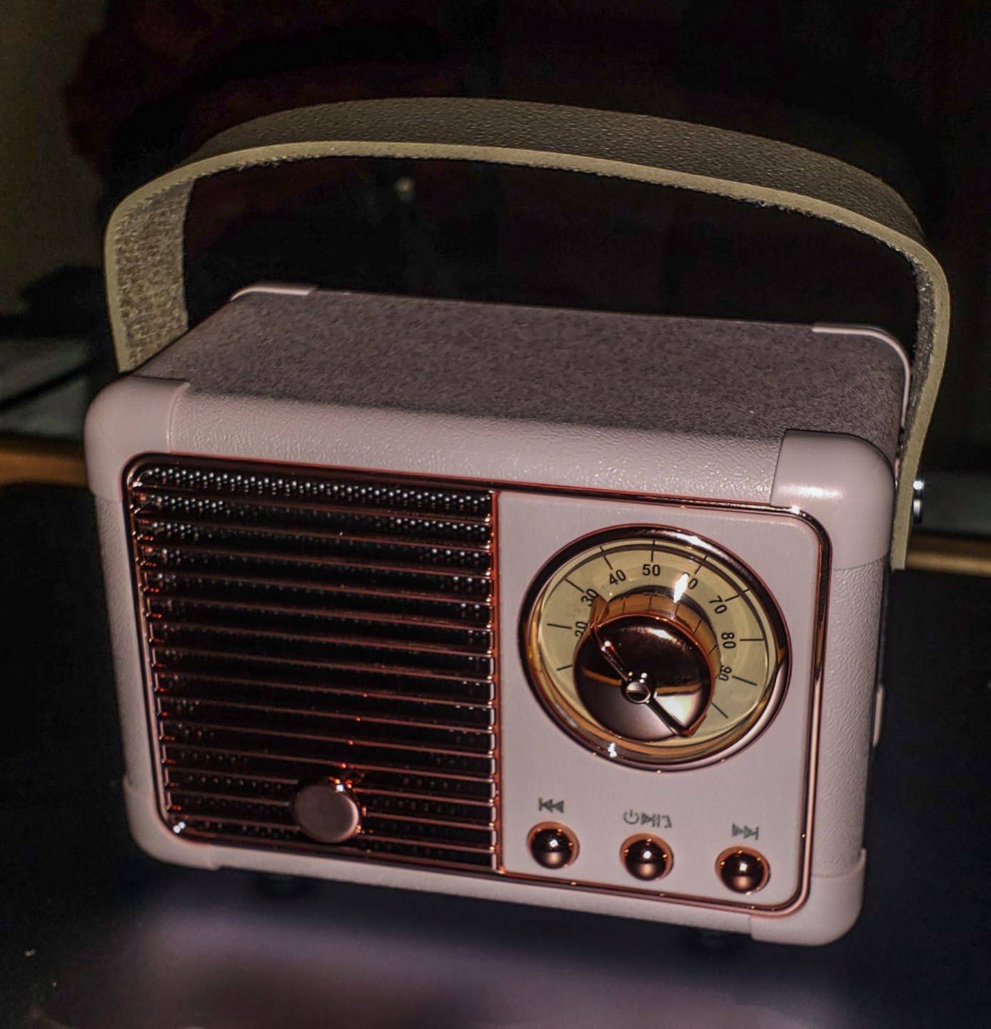 Retro Bluetooth Speaker, Portable Wireless Speaker with Crystal Clear Stereo Sound Rich Bass, Best Birthday Gifts Ideas for Women Teenage (Pink) Customer Review Retro Bluetooth Speaker, Portable Wireless Speaker with Crystal Clear Stereo Sound Rich Bass, Best Birthday Gifts Ideas for Women Teenage (Pink) - Customer Photo 1