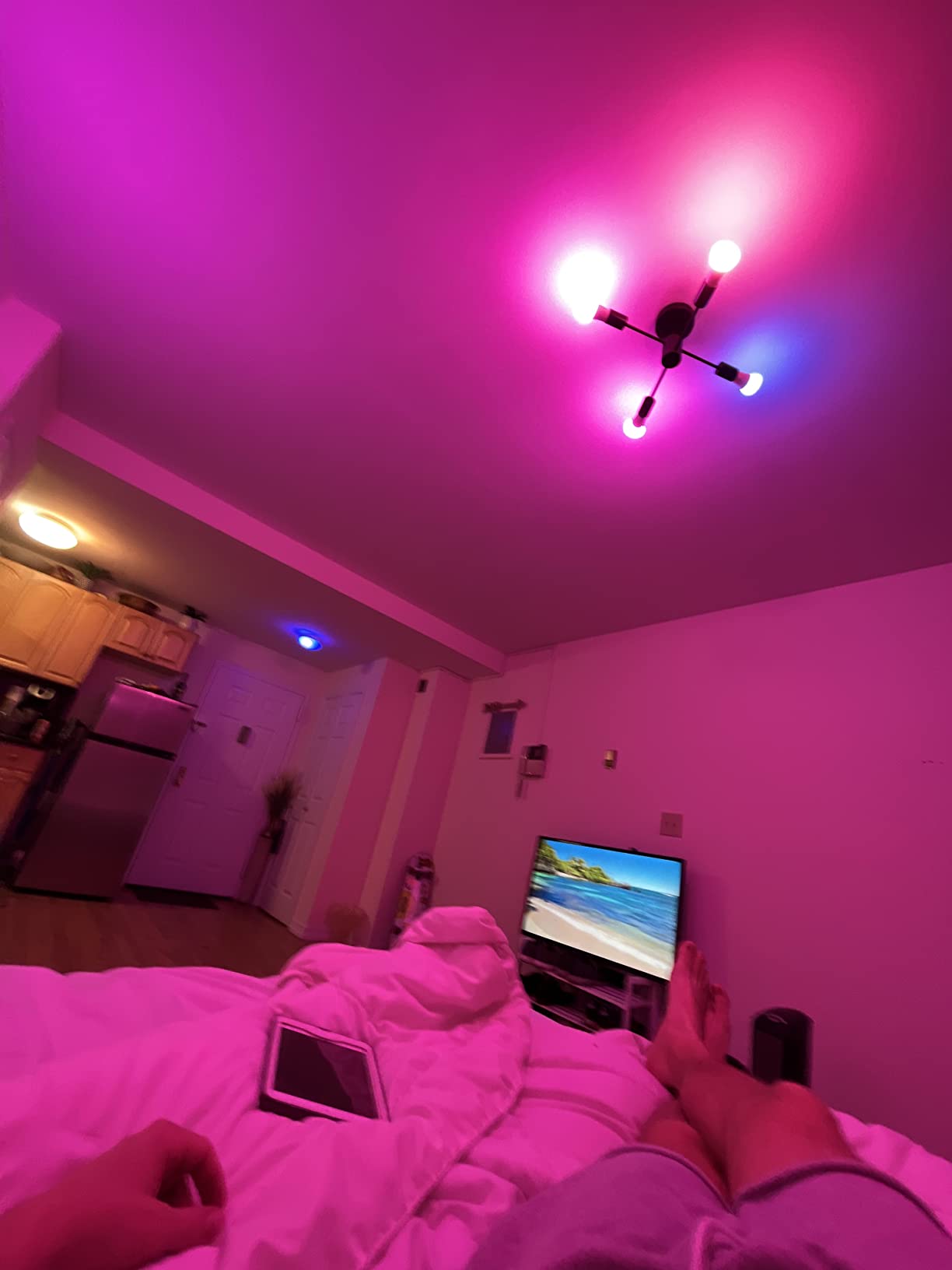 Philips Hue Smart Light Starter Kit - Includes (1) Bridge and (4) 75W A19 E26 LED Smart White and Color Ambiance Bulbs - Control with App - Compatible with Alexa, Google Assistant, and Apple HomeKit Customer Review Philips Hue Smart Light Starter Kit - Includes (1) Bridge and (4) 75W A19 E26 LED Smart White and Color Ambiance Bulbs - Control with App - Compatible with Alexa, Google Assistant, and Apple HomeKit - Customer Photo 1