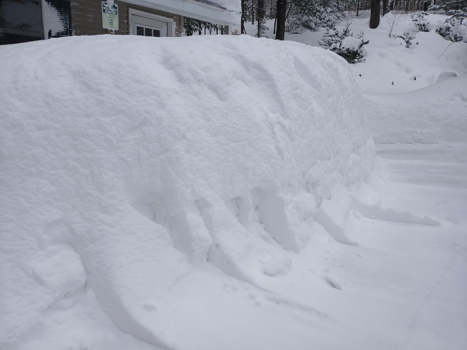 EGO Power+ SNT2112 21-Inch 56-Volt Lithium-Ion Cordless Snow Blower with Peak Power and Steel Auger - (2) 5.0Ah Batteries and Dual Port Charger Included - Customer Photo 4