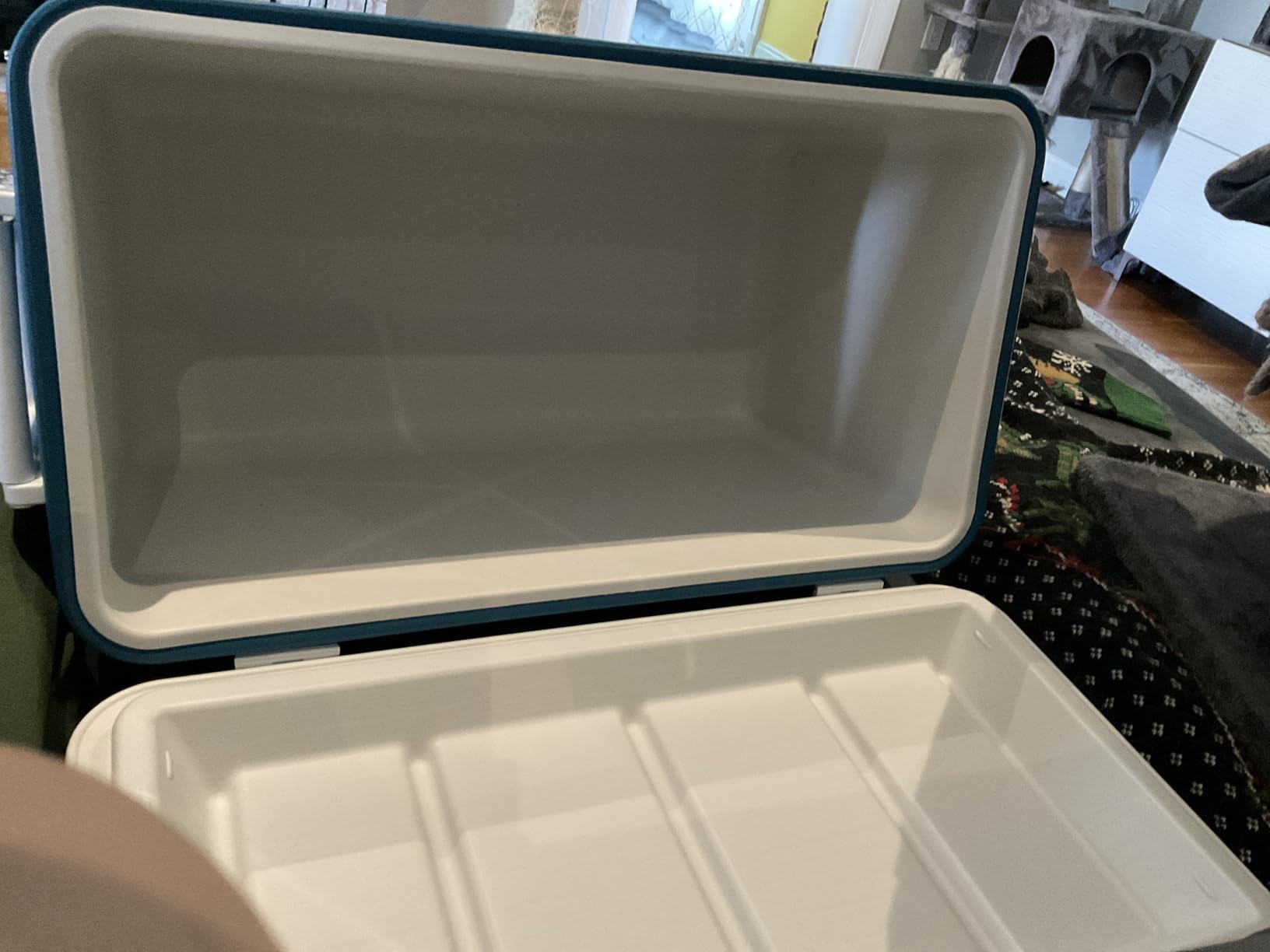 Coleman Chiller 48qt Insulated Portable Cooler with Ice Retention & Heavy-Duty Handles, Made in USA, Great for Camping, Tailgating, Parties, Sports, Concerts & More - Customer Photo 2