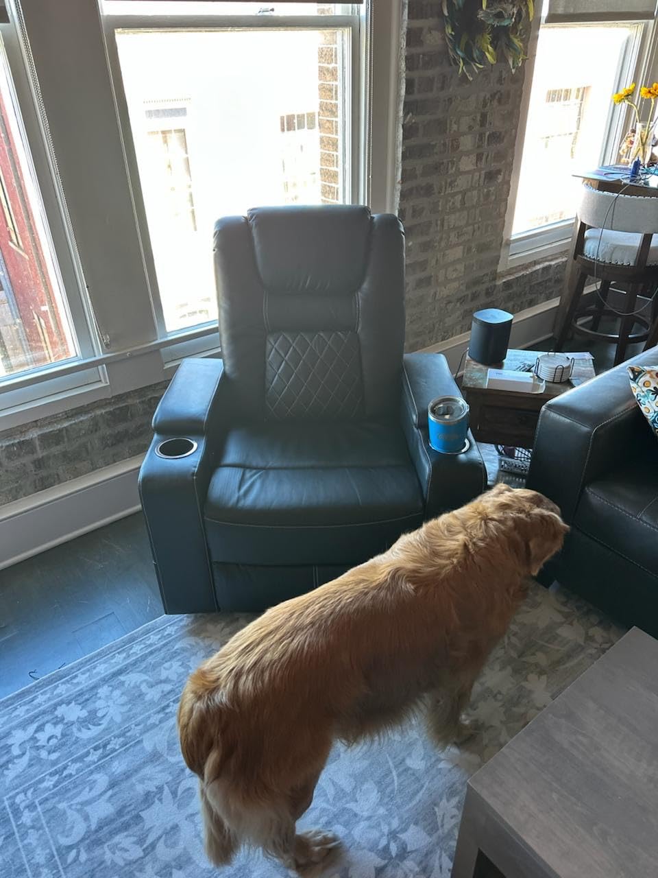 CANMOV Electric Power Recliner Chair with USB Ports and Cup Holders, Breathable Leather Home Theater Seating with Hidden Arm Storage (Black) - Customer Photo 1