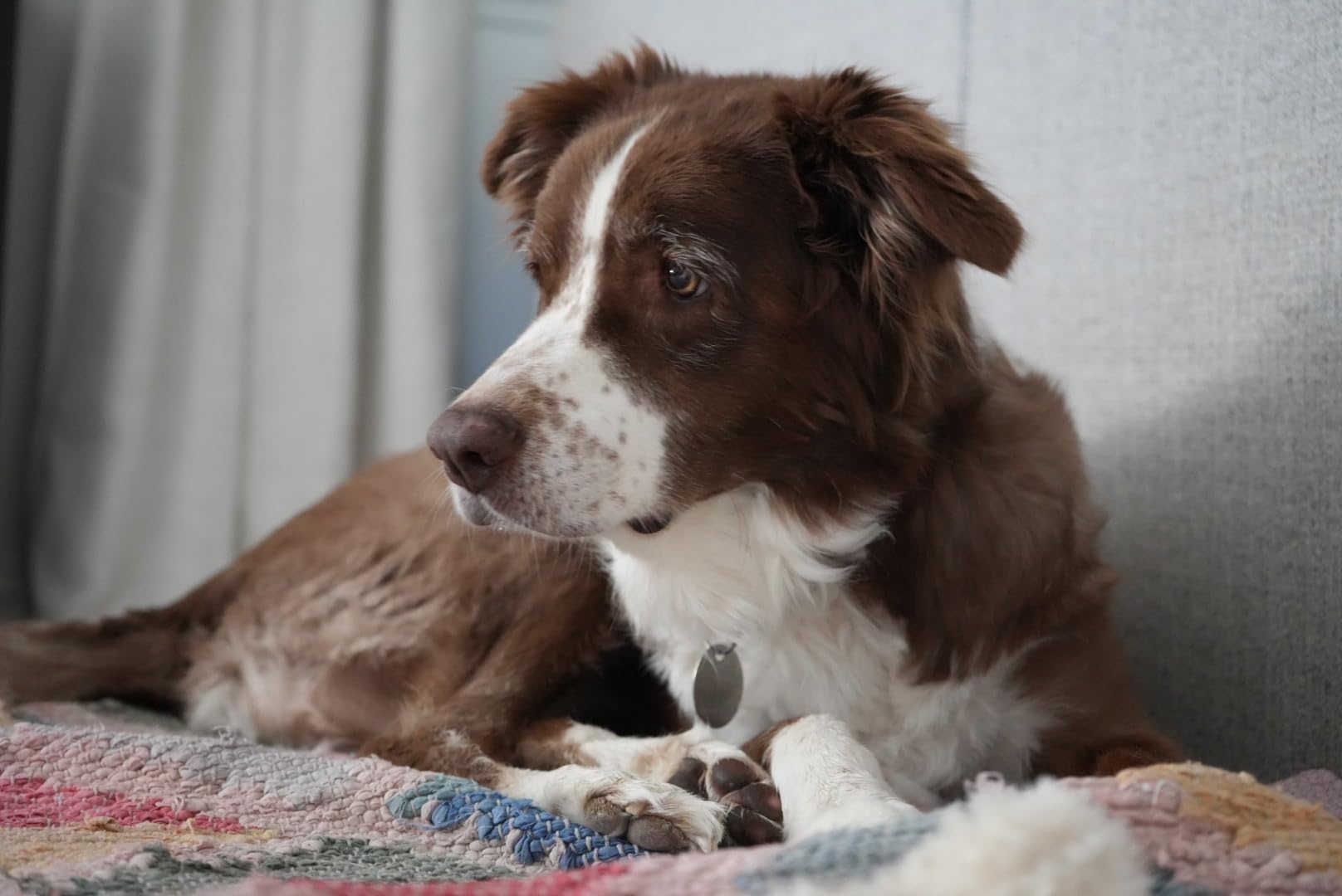 Sony Alpha 7 IV Full-frame Mirrorless Interchangeable Lens Camera with 28-70mm Zoom Lens Kit - Customer Photo 1