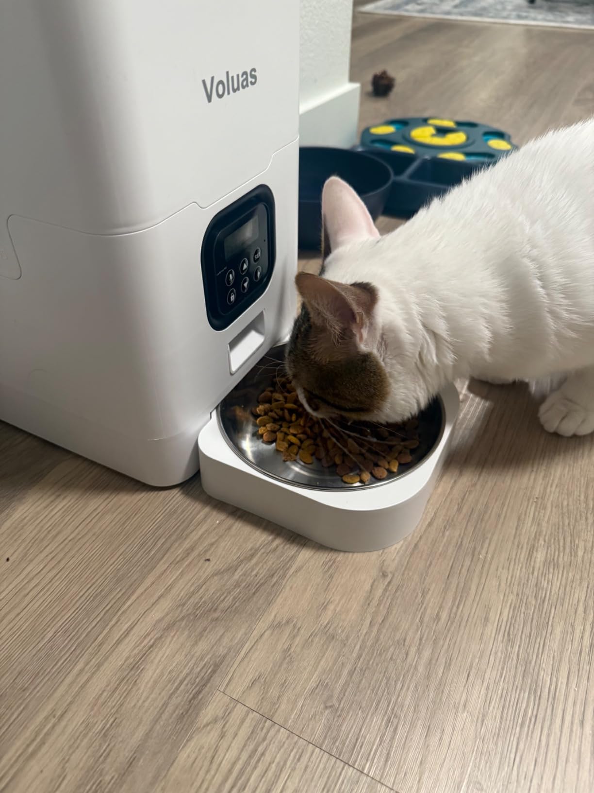 VOLUAS Automatic Cat Feeders - Timed Pet Feeder for Cats and Dogs with Dry Food Dispenser, Desiccant Bag, Programmable Portion Control, 4 Daily Meals, 10s Voice Recorder - Customer Photo 1