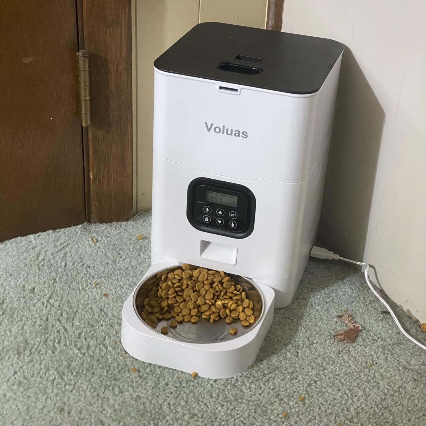 VOLUAS Automatic Cat Feeders - Timed Pet Feeder for Cats and Dogs with Dry Food Dispenser, Desiccant Bag, Programmable Portion Control, 4 Daily Meals, 10s Voice Recorder - Customer Photo 3