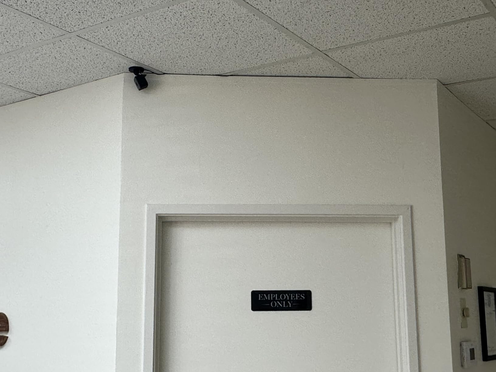 Blink Mini - Compact indoor plug-in smart security camera, 1080p HD video, night vision, motion detection, two-way audio, easy set up, Works with Alexa – 2 cameras (Black) - Customer Photo 2