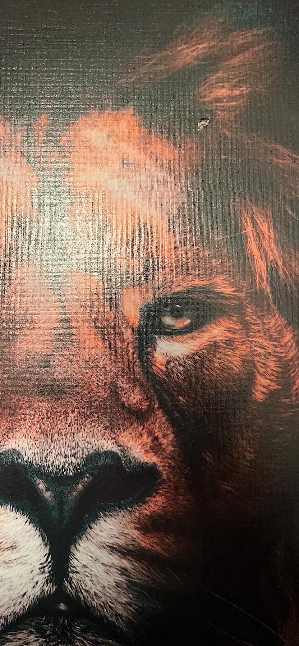 HAUS AND HUES Money Wall Art - Framed Wall Art Motivational, Masculine Art Wall Decor, Success Wall Art, Inspirational Wall Art For Office, Hundred Dollar Bill Wall Art (16x20, Beige Framed) Customer Review HAUS AND HUES Money Wall Art - Framed Wall Art Motivational, Masculine Art Wall Decor, Success Wall Art, Inspirational Wall Art For Office, Hundred Dollar Bill Wall Art (16x20, Beige Framed) - Customer Photo 2