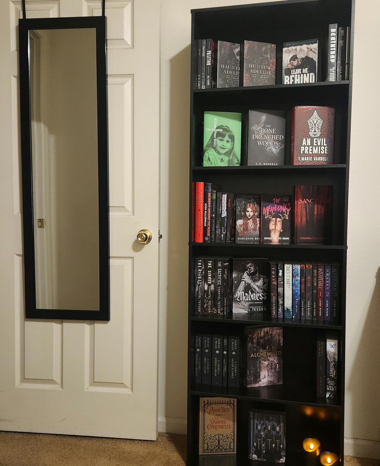 IRONCK Bookshelves and Bookcases Floor Standing 6 Tiers Display Storage Shelves 70 in Tall Bookcase Home Decor Furniture for Home Office, Living Room, Bed Room - Customer Photo 2