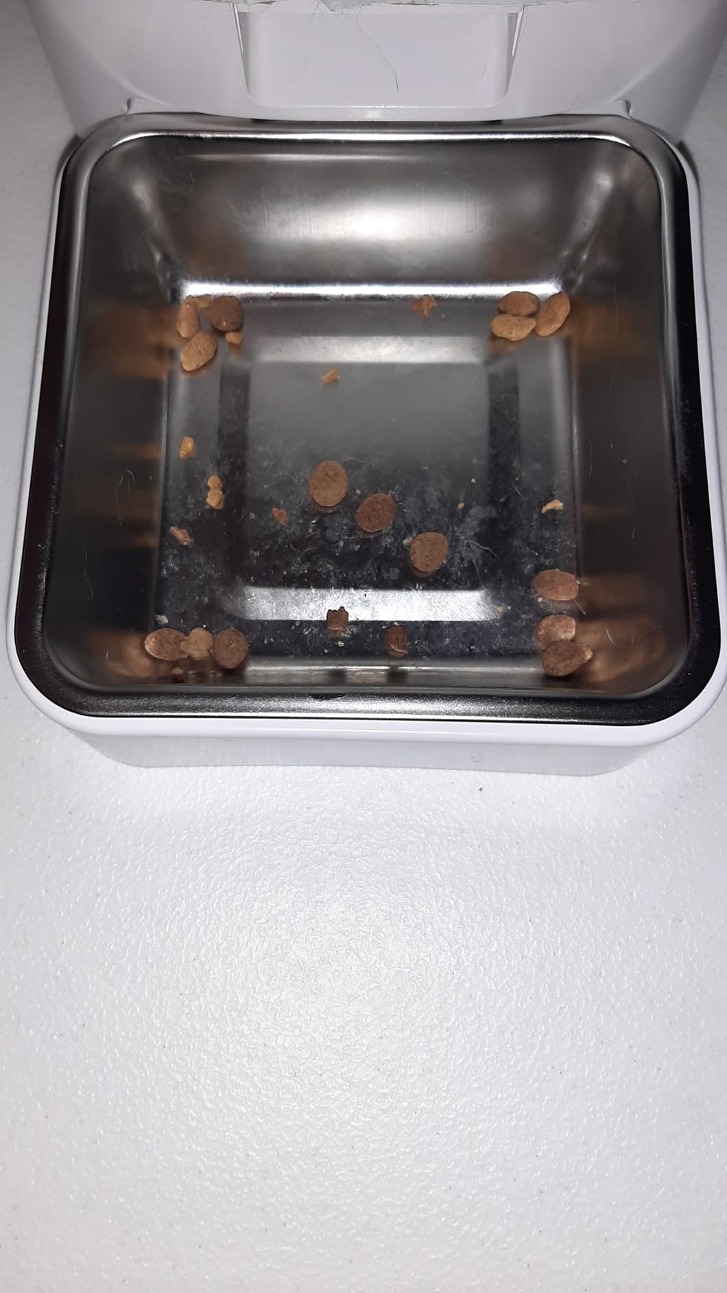 PAPIFEED Smart Automatic Cat Feeders: WiFi Pet Feeder with APP Control for Remote Feeding, Detachable for Easy Clean, Automatic Cat Food Dispenser with Alexa,1-10 Meals Per Day for Dog (6L/25Cup) - Customer Photo 4