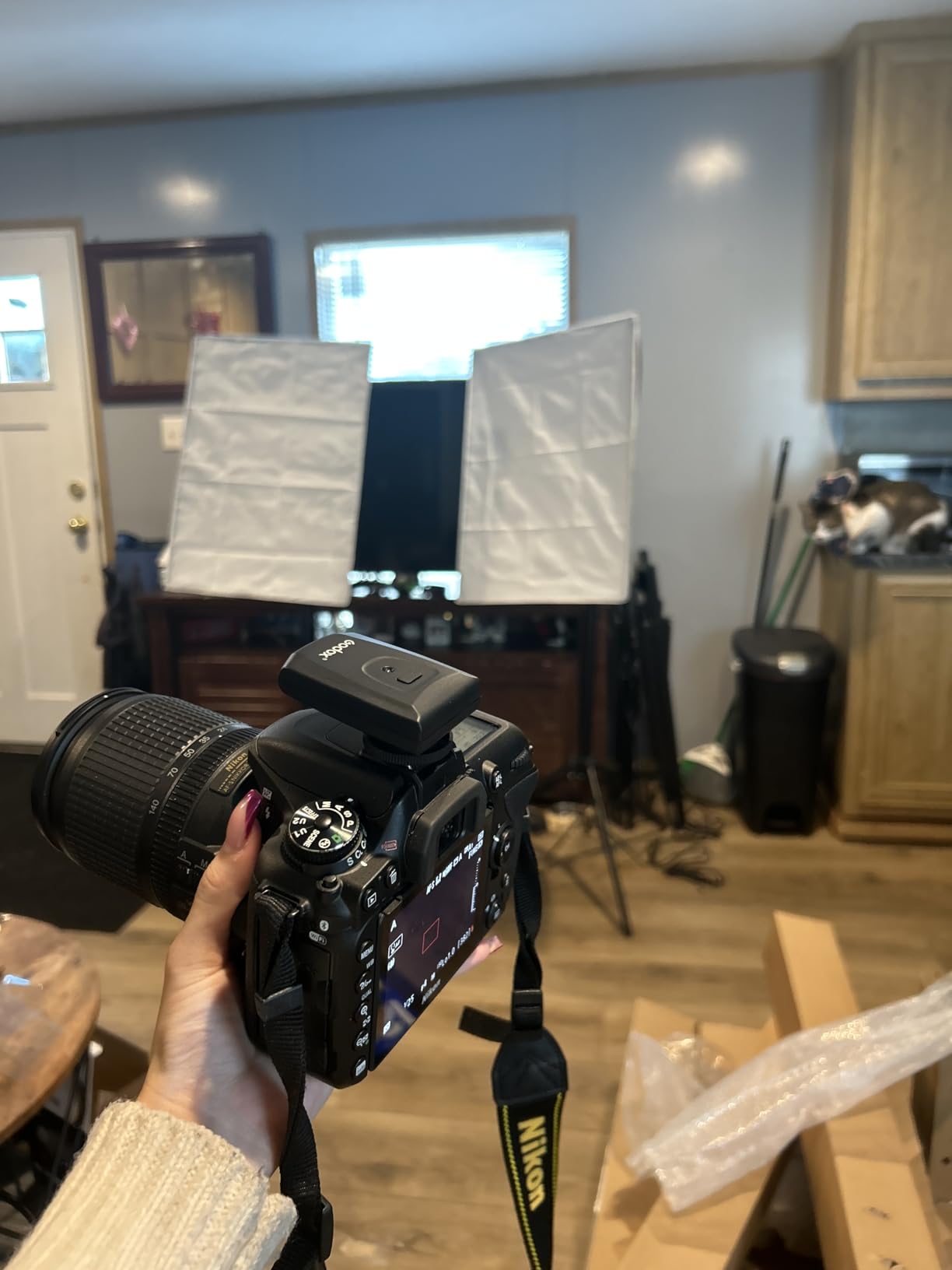 Godox Professional Studio Flash Kit for Photography, Strobe Lights Softbox Lighting Kit, 2x180W 5600K Compact Monolights with Flash Trigger, Softbox, Light Stands - Customer Photo 1