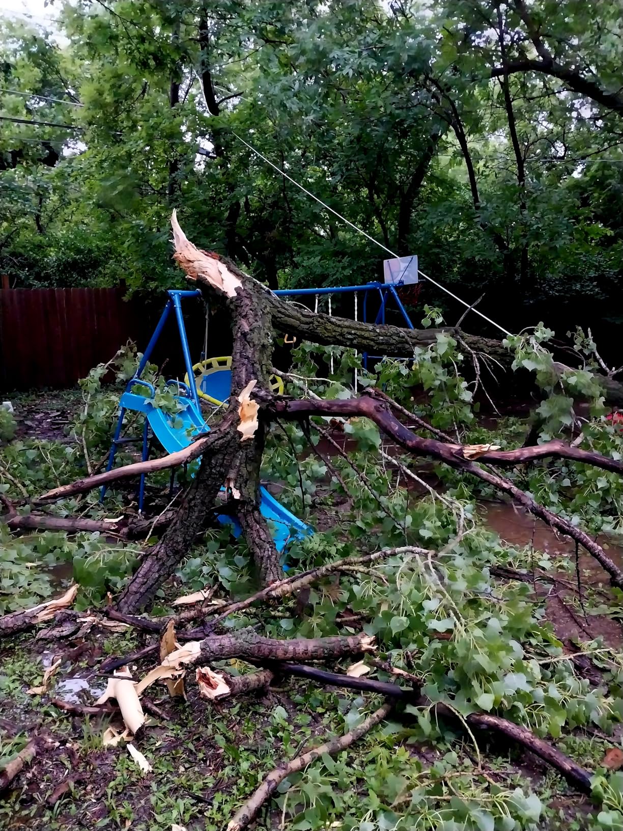 Sports Outdoor 8 Station Playground Set, Includes Swing Set, Slide, Monkey Bars, Basketball Hoop, Trampoline, Soccer and Basketball + Pump, Green - Customer Photo 2