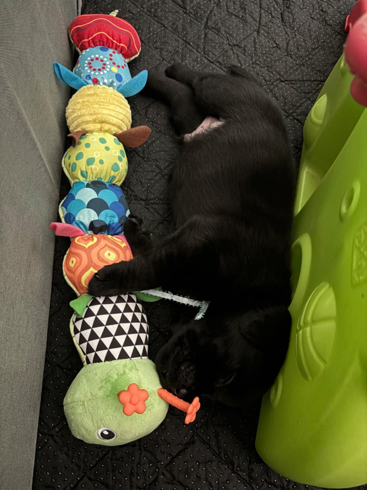 Sumobaby Infant Baby Musical Stuffed Animal Activity Soft Toys with Multi-Sensory Crinkle, Rattle and Textures, for Tummy Time Newborn 0-3-6-12 Months Boys, Girls, Caterpillar - Customer Photo 2