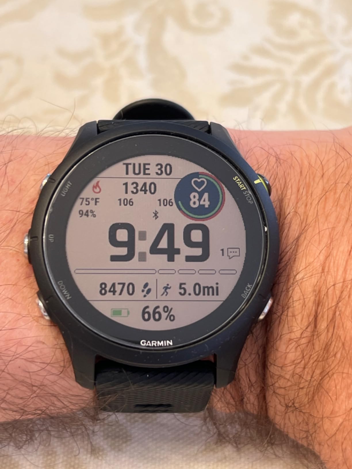 Garmin Forerunner® 255, GPS Running Smartwatch, Advanced Insights, Long-Lasting Battery, Slate Gray Customer Review Garmin Forerunner® 255, GPS Running Smartwatch, Advanced Insights, Long-Lasting Battery, Slate Gray - Customer Photo 1