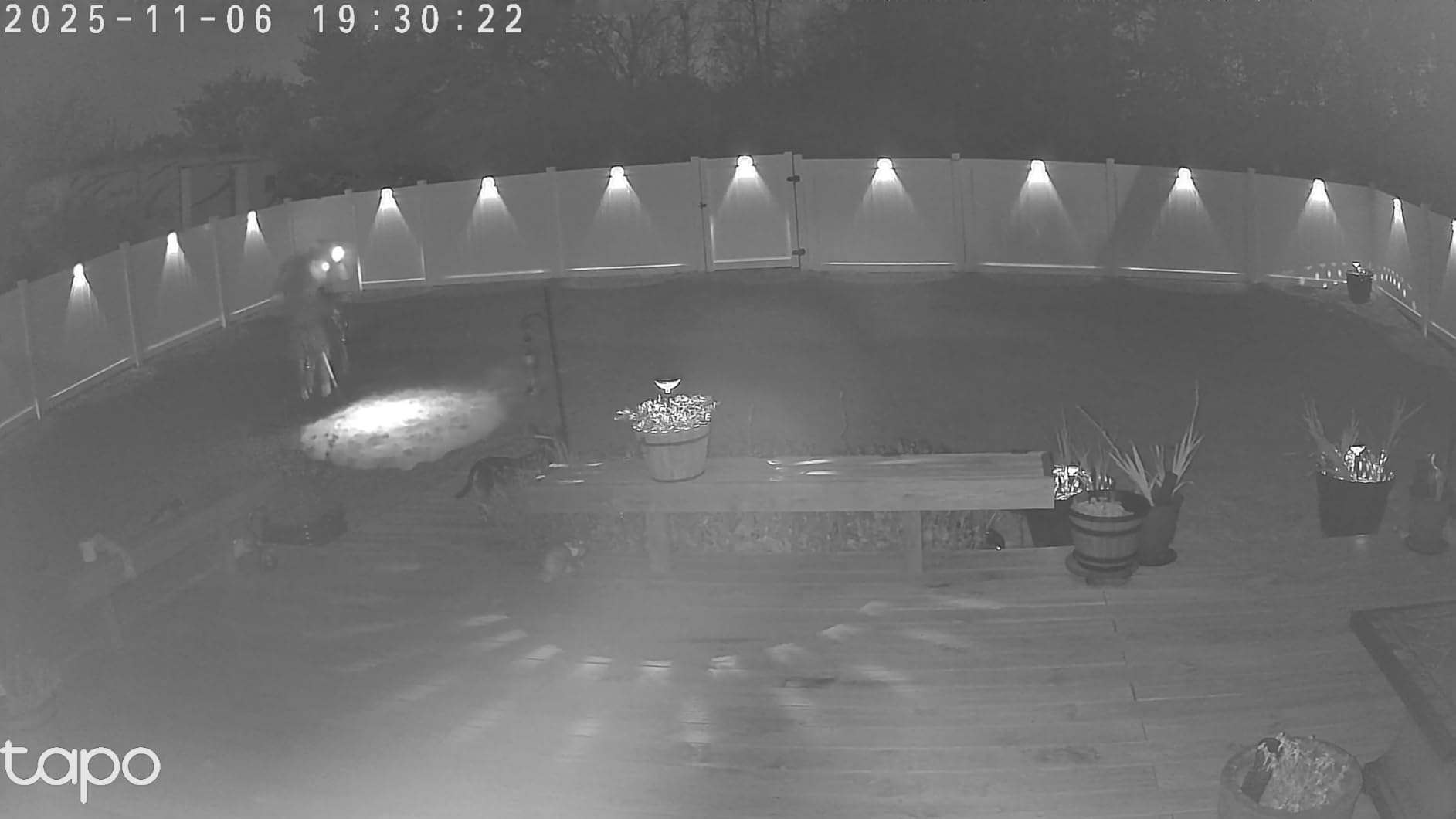 Tapo TP-Link 2K Pan/Tilt Security Camera for Baby Monitor, Dog Camera w/Motion Detection and Tracking, 2-Way Audio, Night Vision, Cloud &SD Card Storage, Works w/Alexa & Google Home C210 Customer Review Tapo TP-Link 2K Pan/Tilt Security Camera for Baby Monitor, Dog Camera w/Motion Detection and Tracking, 2-Way Audio, Night Vision, Cloud &SD Card Storage, Works w/Alexa & Google Home C210 - Customer Photo 3