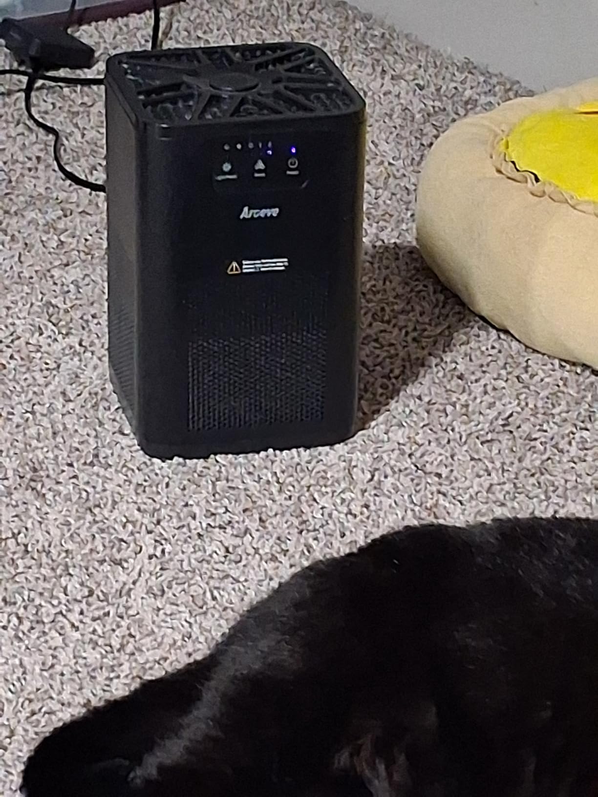 AROEVE Air Purifiers for Bedroom Air Purifier With Aromatherapy Function For Pet Smoke Pollen Dander Hair Smell 20dB Air Cleaner For Bedroom Office Living Room, MK06- White(Available for California) - Customer Photo 1