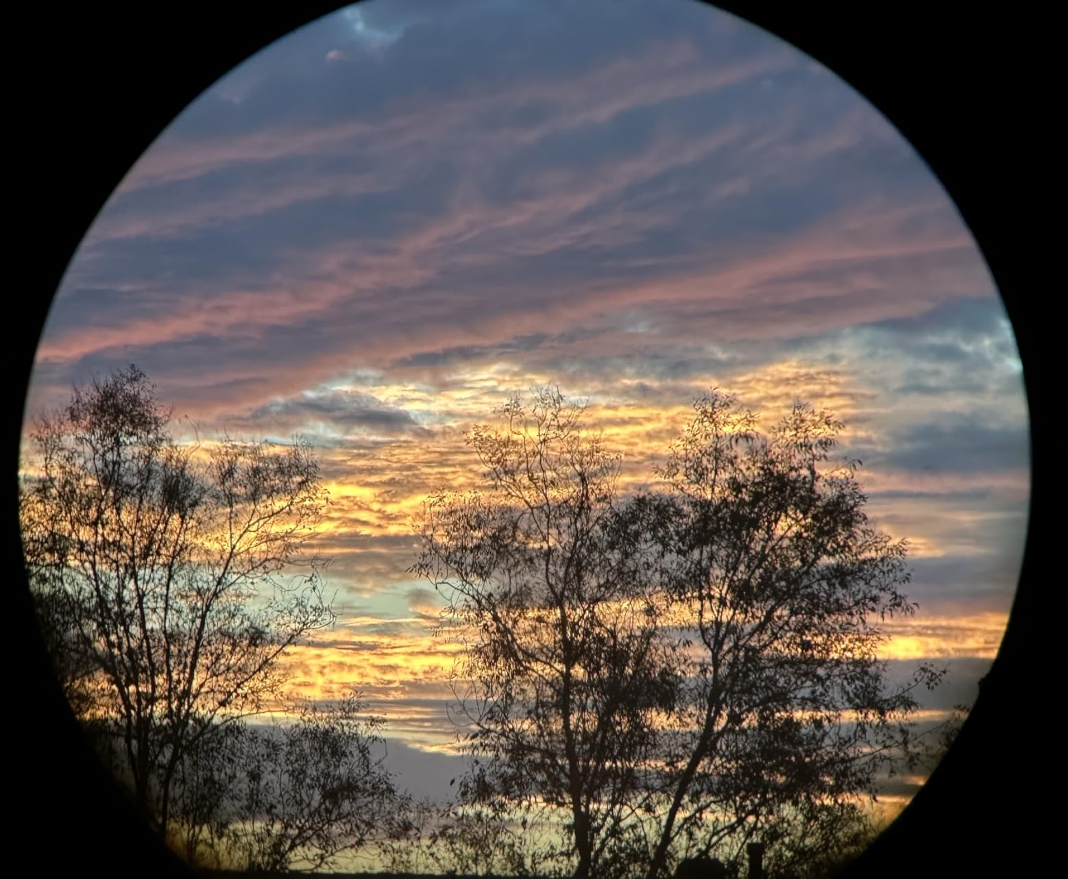 Nikon PROSTAFF P3 8x42 Binocular | Waterproof, fogproof, rubber-armored Full-Size Binocular, wide field of view & long eye relief | Official Nikon USA Model - Customer Photo 1