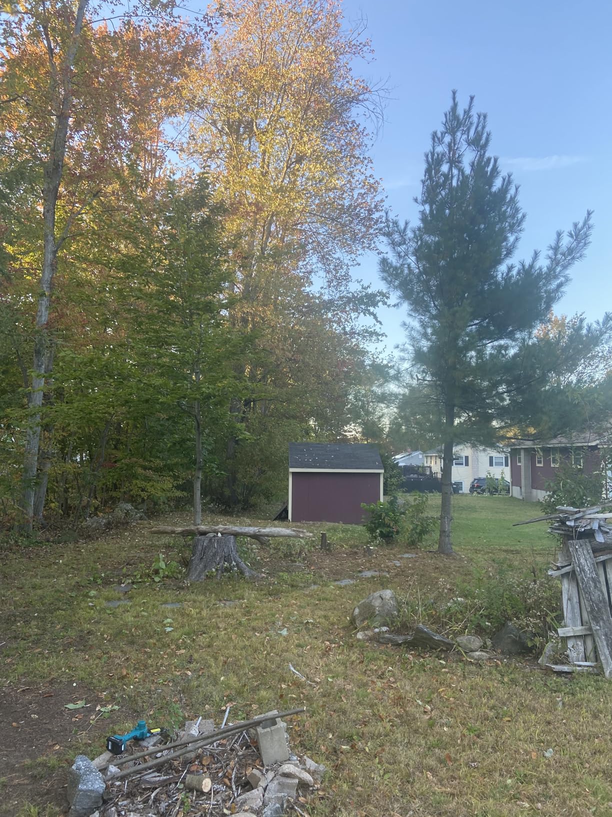 Seesii Mini Chainsaw, 6-inch Mini Chainsaw Cordless, Handheld Electric Power Chain Saw with 2 Batteries, for Tree Trimming Wood Cutting - Customer Photo 1