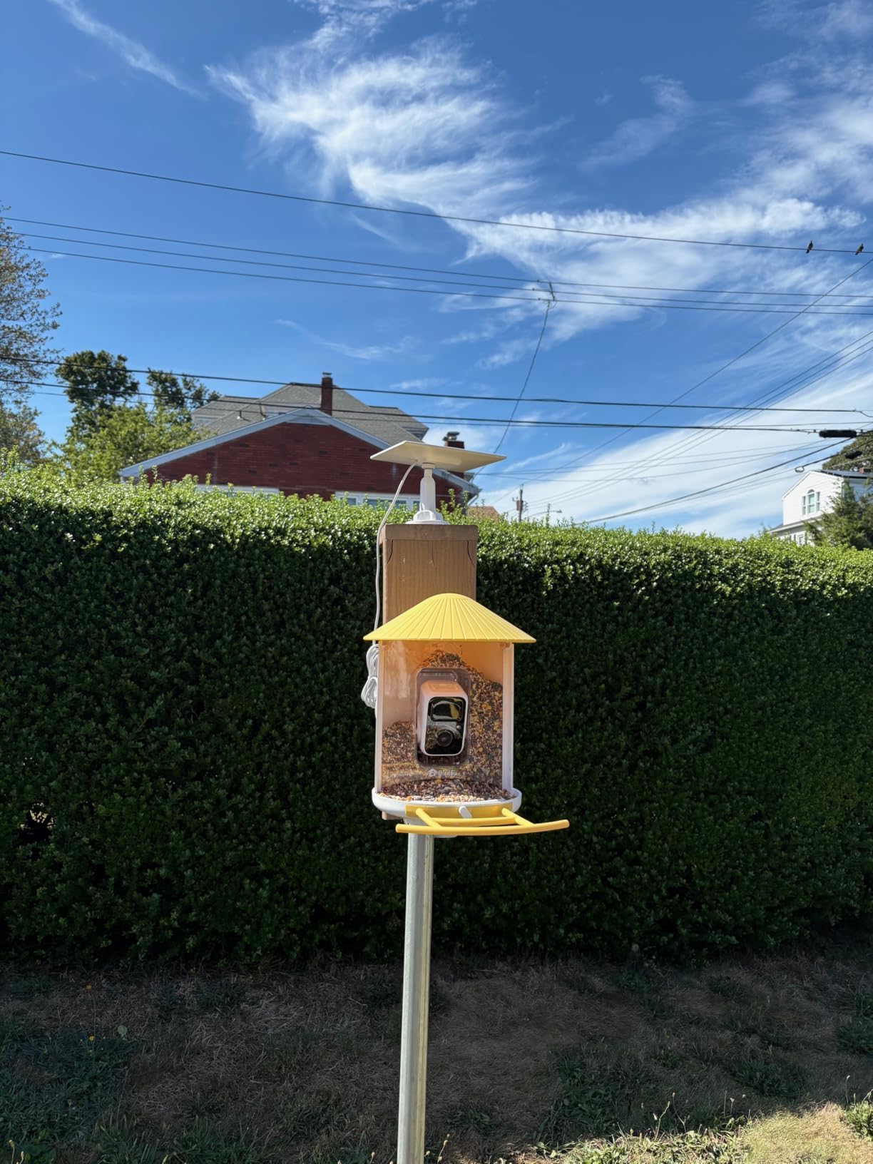 NETVUE by Birdfy Smart Bird Feeder with Camera, Bird Watching Camera, Auto Capture Video & Motion Detection, 1080P Live Steam, Cardinal Feeder Outdoor Wireless, Ideal Present for Backyard Birder, Blue - Customer Photo 2