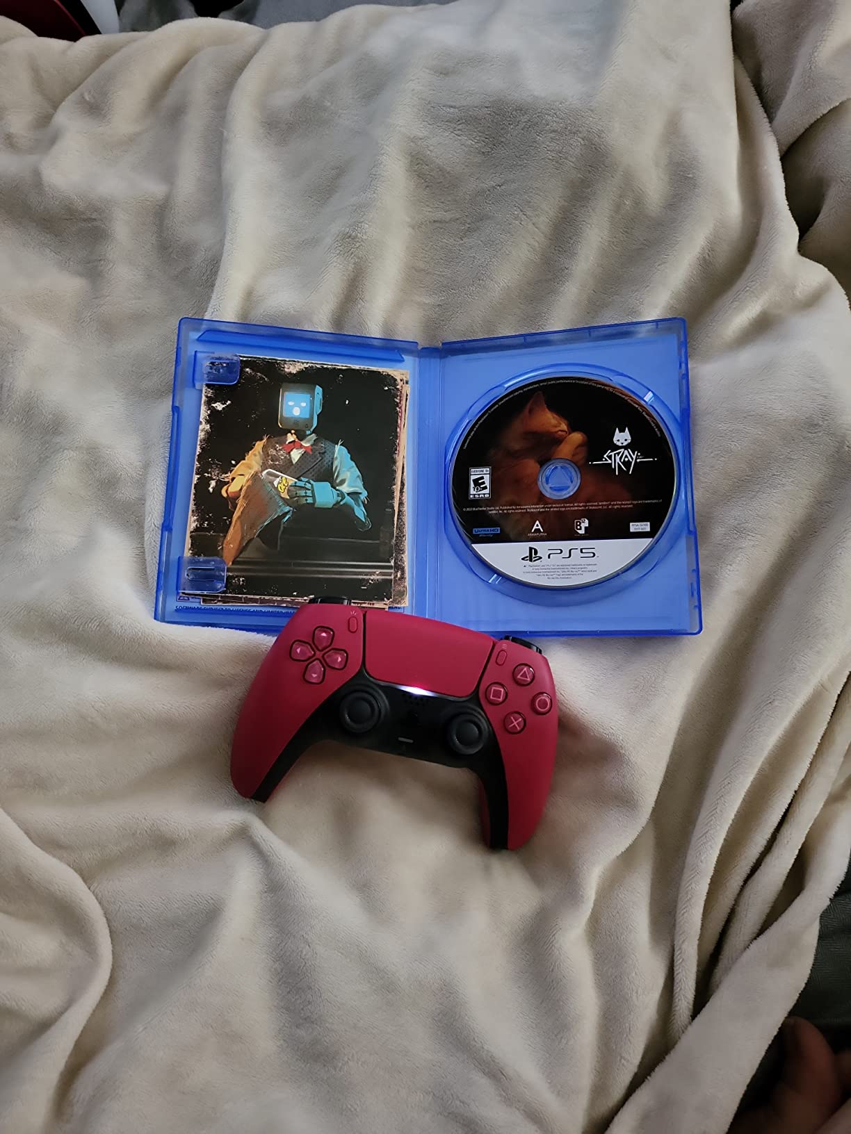 Stray for PlayStation 5 - Customer Photo 2