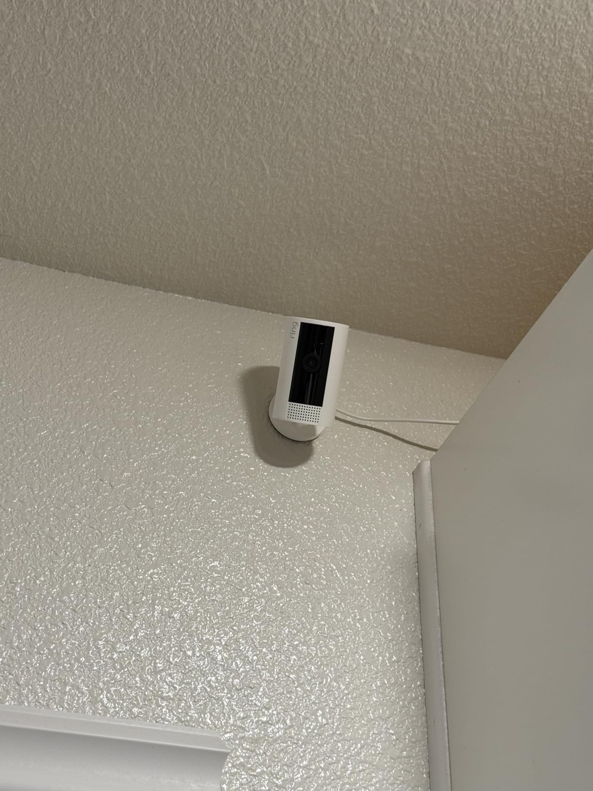 Ring Indoor Cam — Home or business security in 1080p HD video, Black - Customer Photo 1