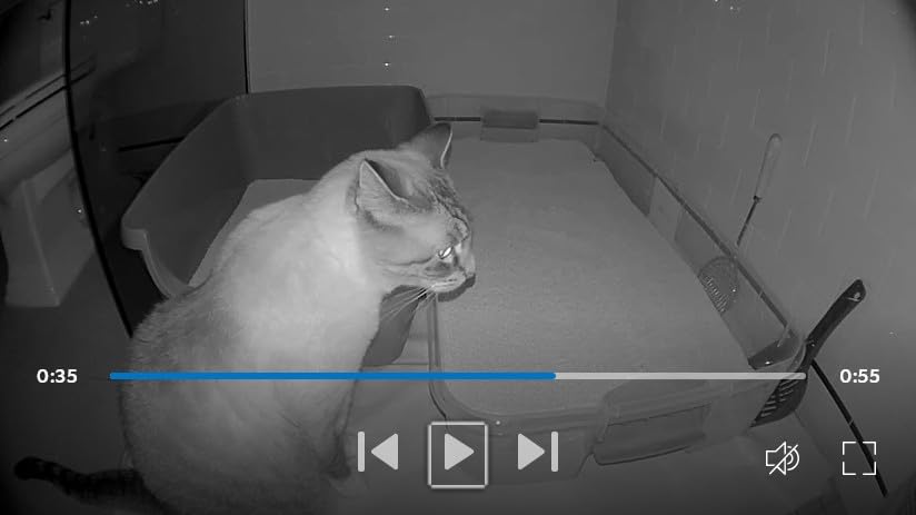 Ring Indoor Cam — Home or business security in 1080p HD video, Black - Customer Photo 2