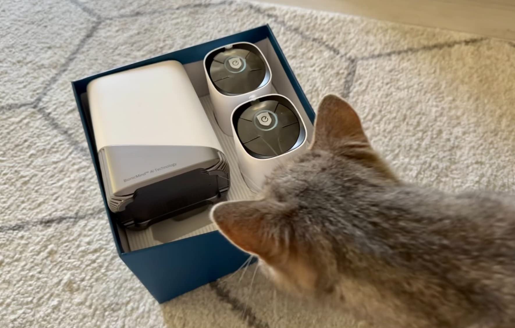 eufy Security eufyCam S330 (eufyCam 3) 4-Cam Kit, Security Camera Outdoor Wireless, 4K with Integrated Solar Panel, Face Recognition AI, Expandable Local Storage, Spotlight, No Monthly Fee Customer Review eufy Security eufyCam S330 (eufyCam 3) 4-Cam Kit, Security Camera Outdoor Wireless, 4K with Integrated Solar Panel, Face Recognition AI, Expandable Local Storage, Spotlight, No Monthly Fee - Customer Photo 2