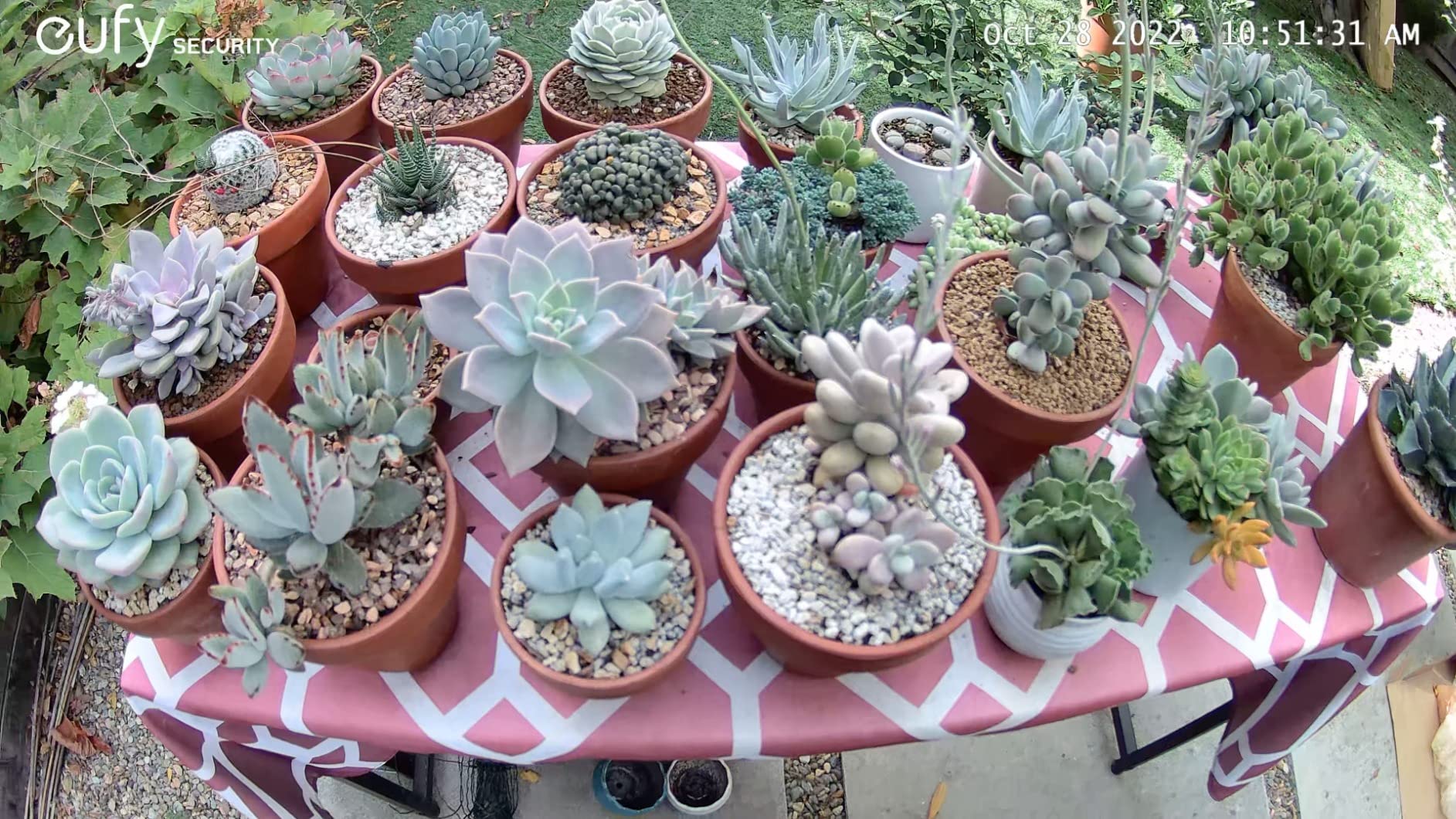 eufy Security eufyCam S330 (eufyCam 3) 4-Cam Kit, Security Camera Outdoor Wireless, 4K with Integrated Solar Panel, Face Recognition AI, Expandable Local Storage, Spotlight, No Monthly Fee Customer Review eufy Security eufyCam S330 (eufyCam 3) 4-Cam Kit, Security Camera Outdoor Wireless, 4K with Integrated Solar Panel, Face Recognition AI, Expandable Local Storage, Spotlight, No Monthly Fee - Customer Photo 4